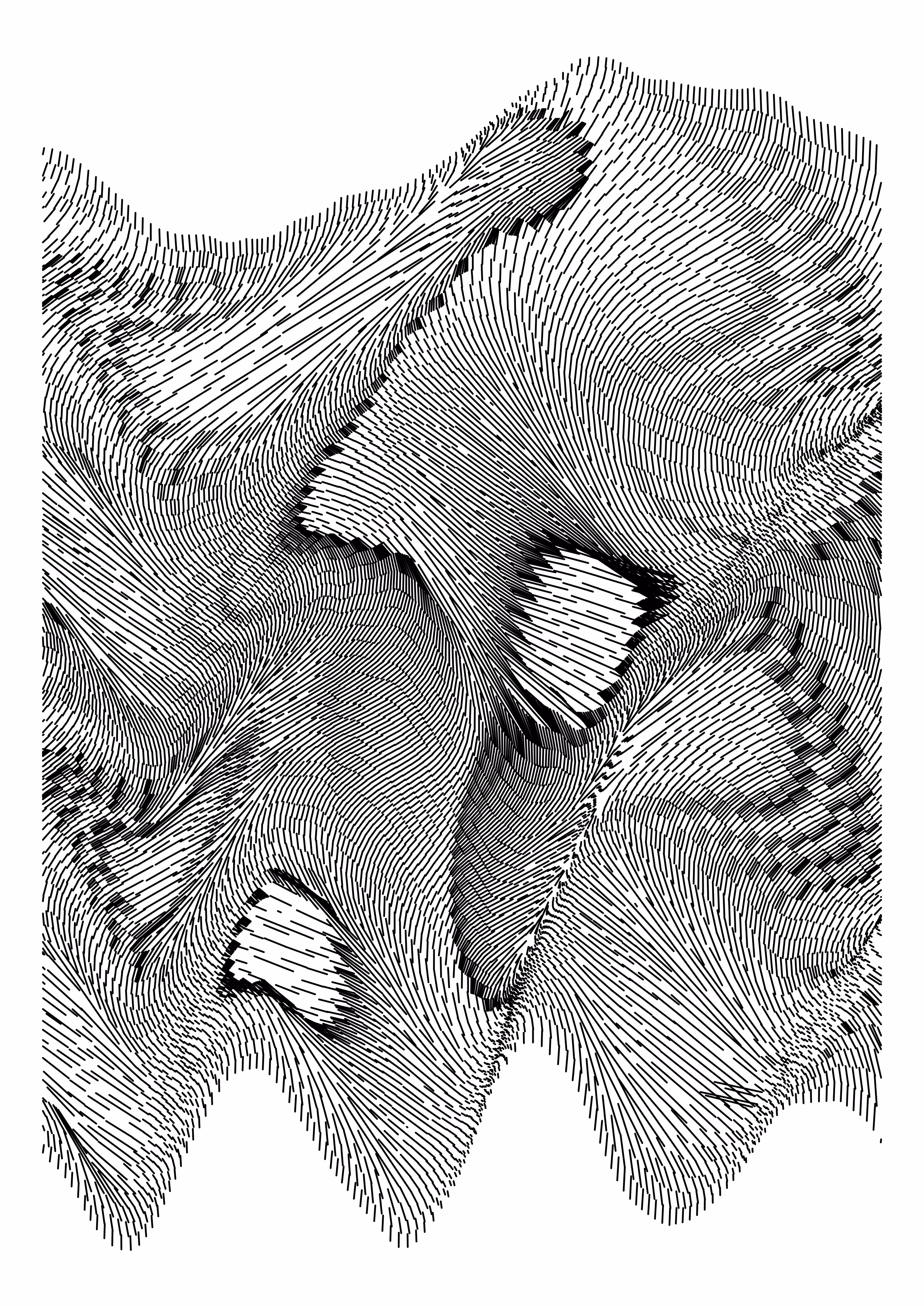 Binary holes