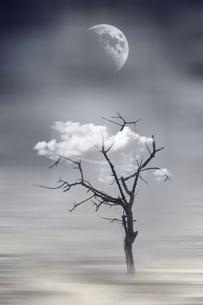 The Tree