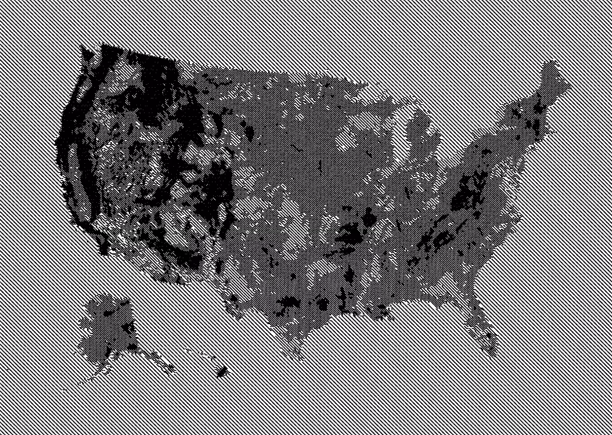 United States (glitch)