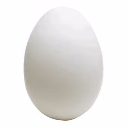 The Egg