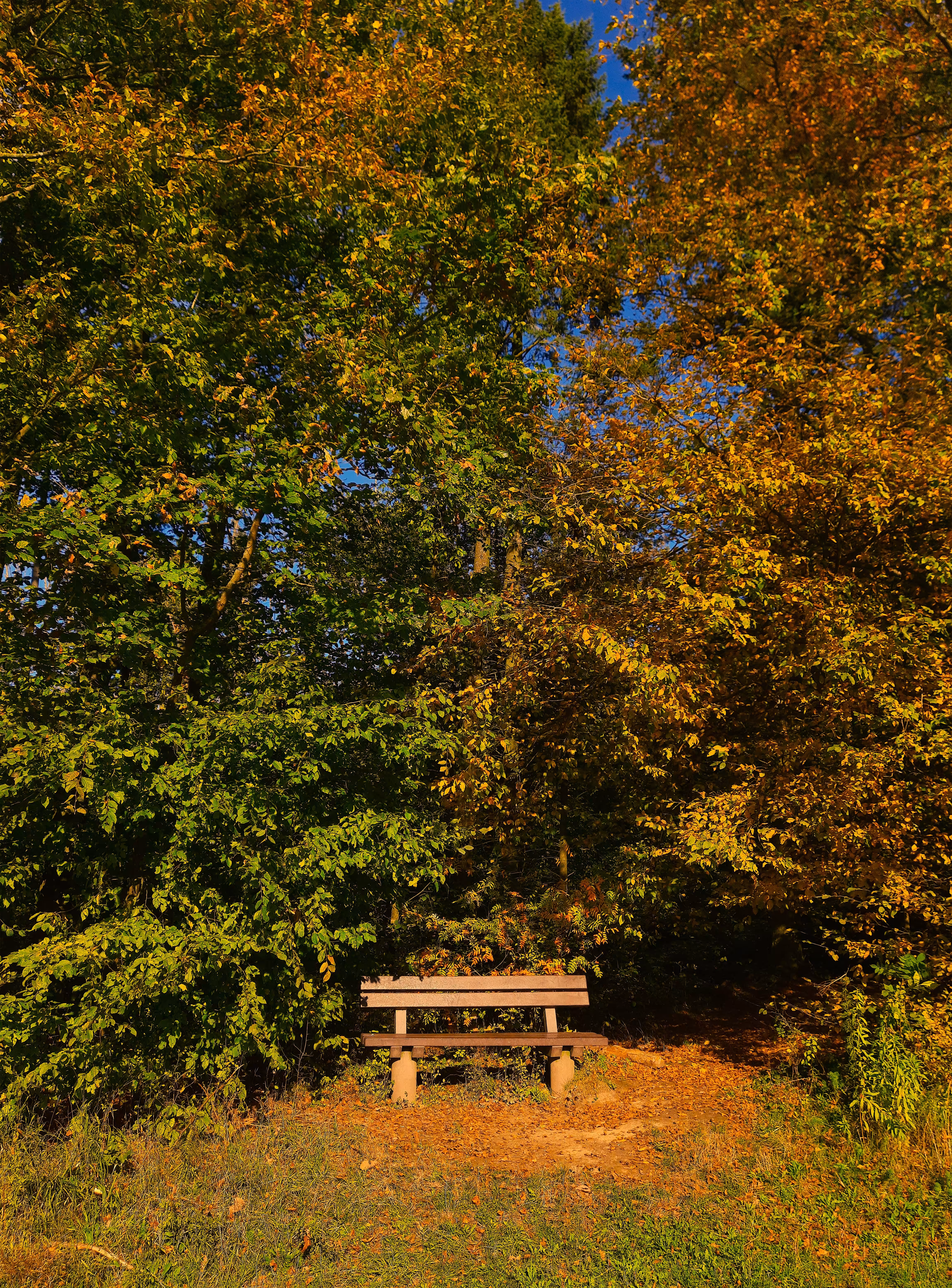 Where Time Pauses