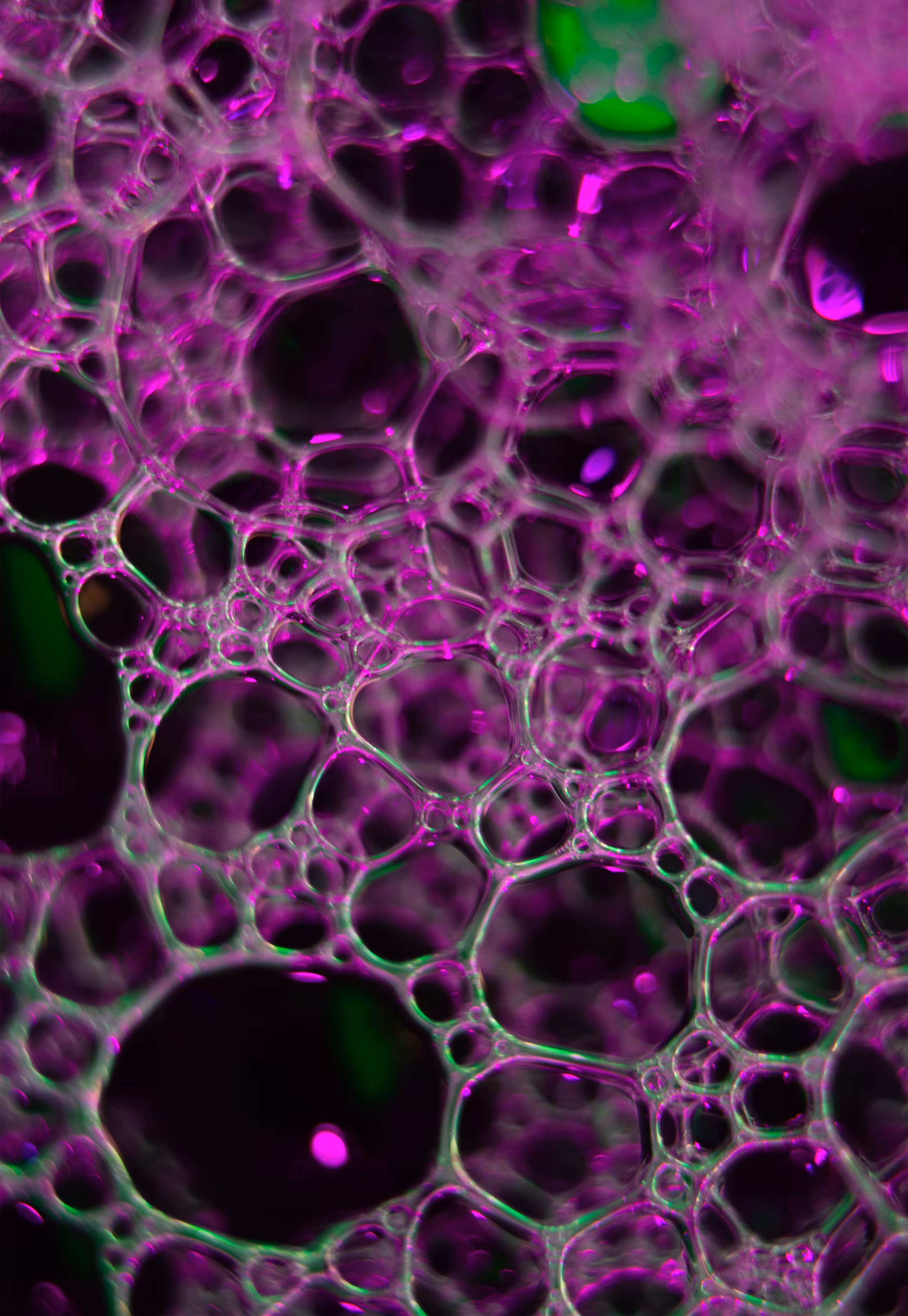 Abstract World of Soap Bubbles: #7 Bubbles