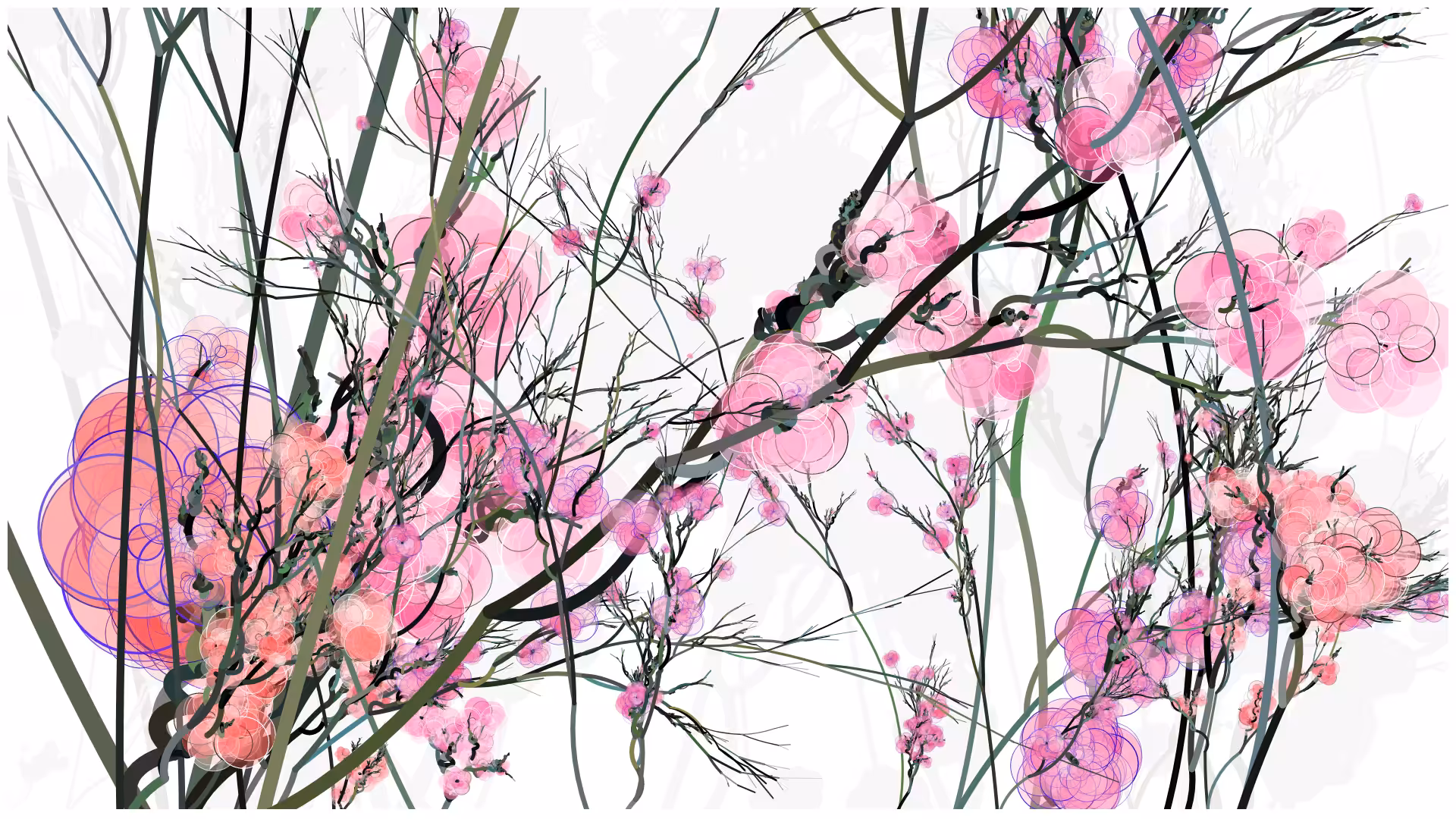 CODE-BLOSSOM #62
