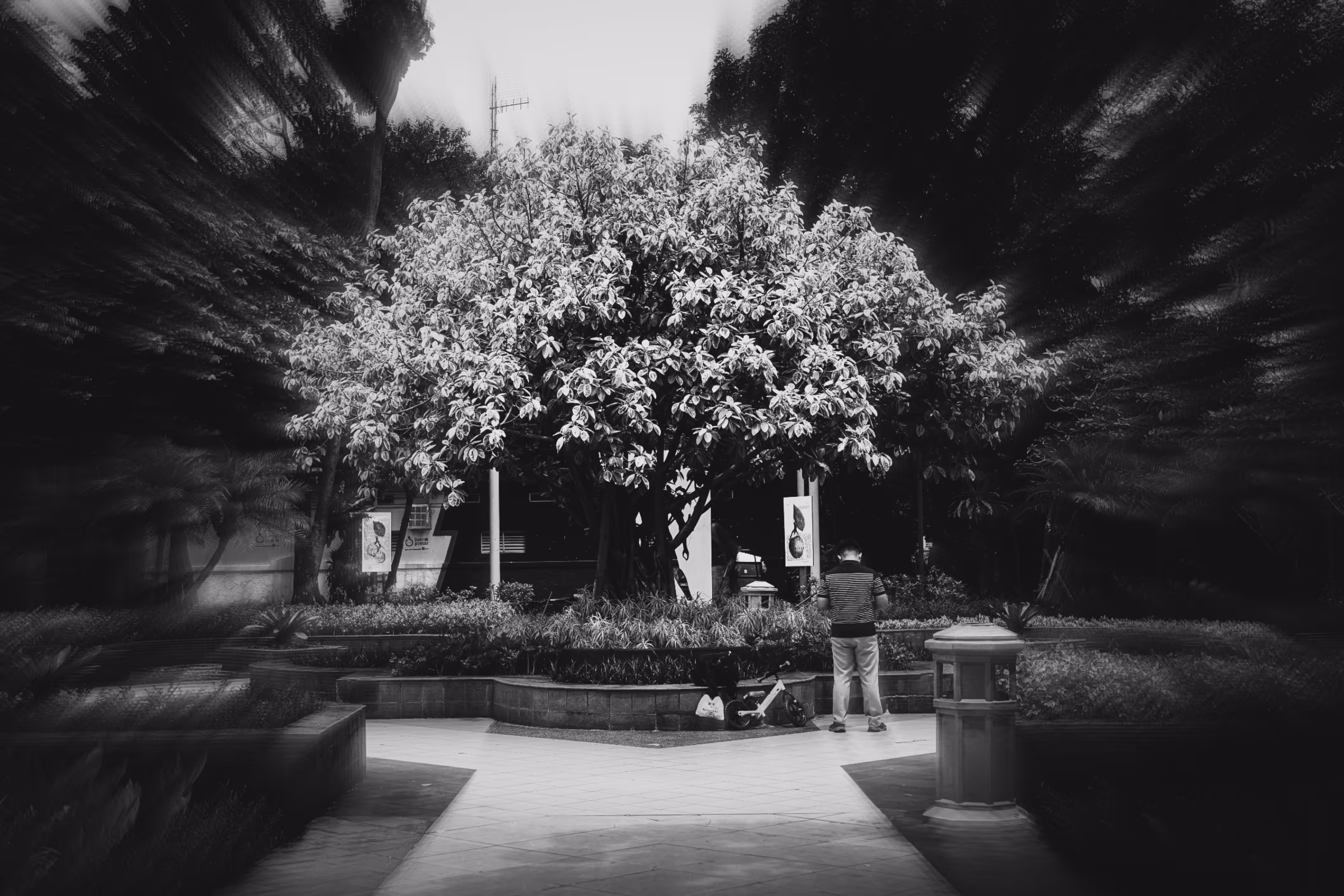 In The Deserted Chapter (1)