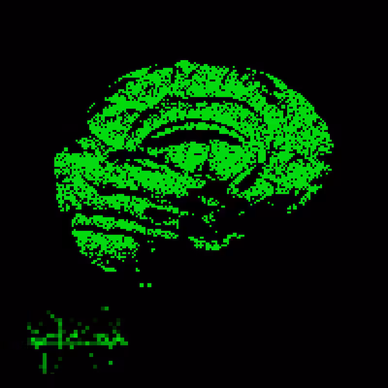 Brain in dither 