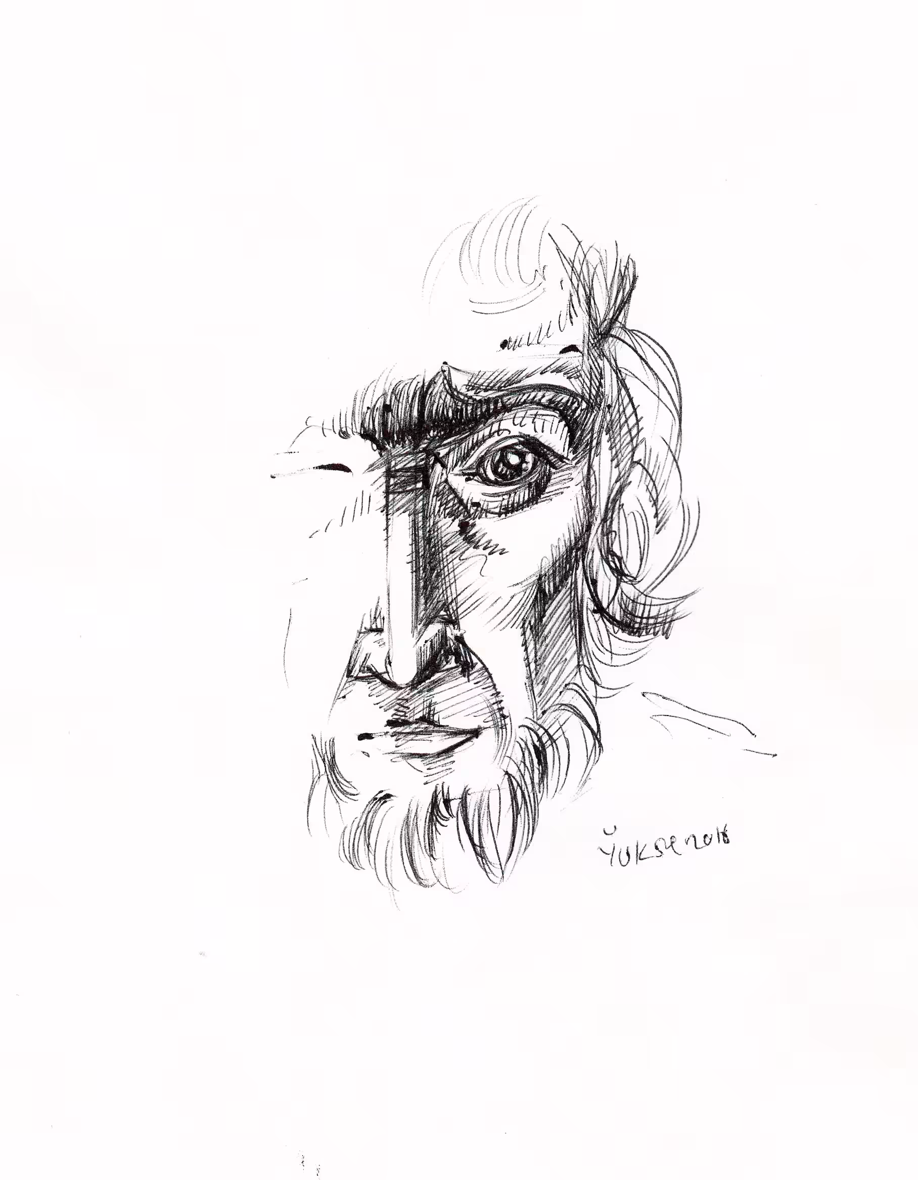 any portrait