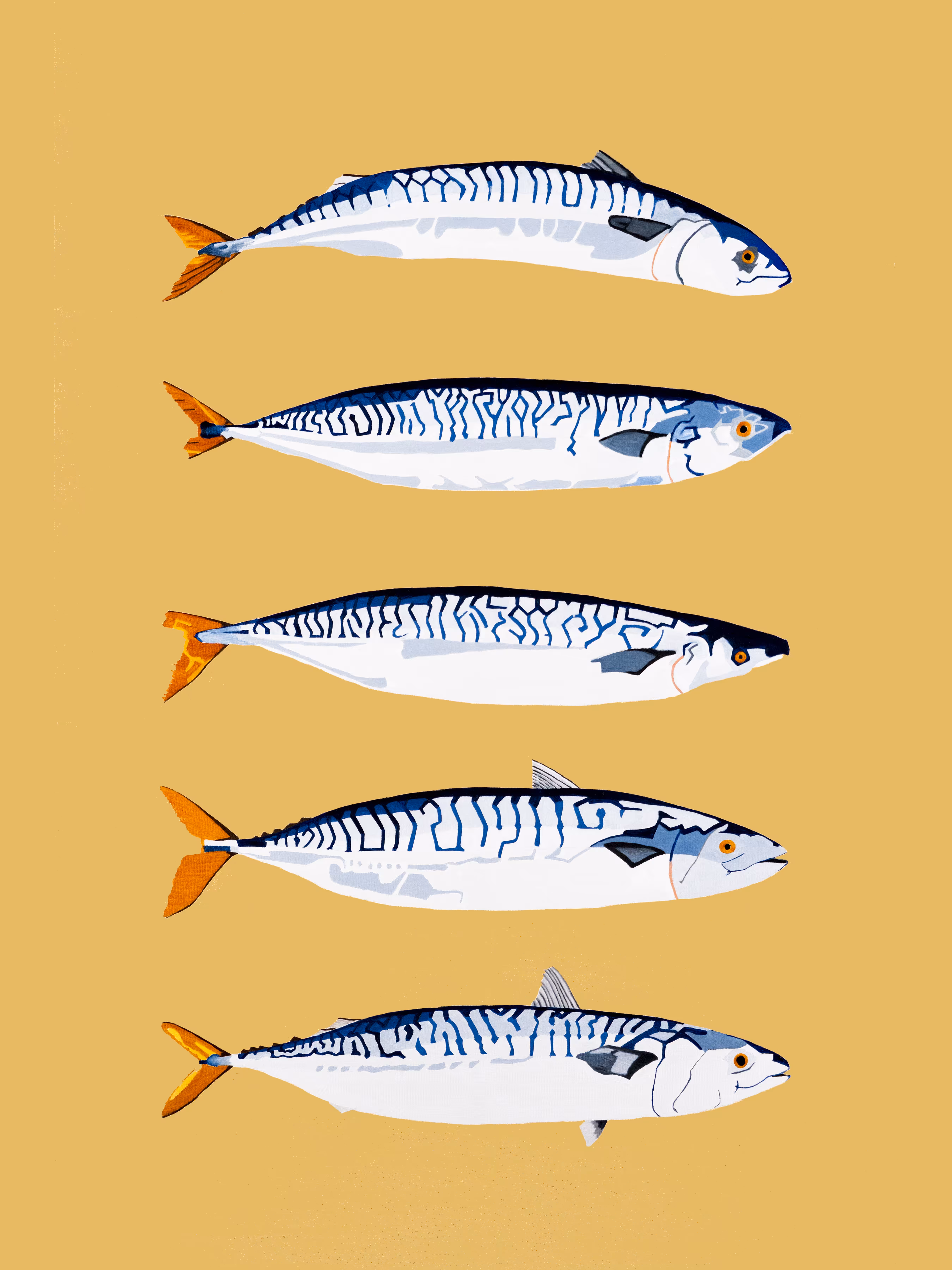 The Freshwater Five