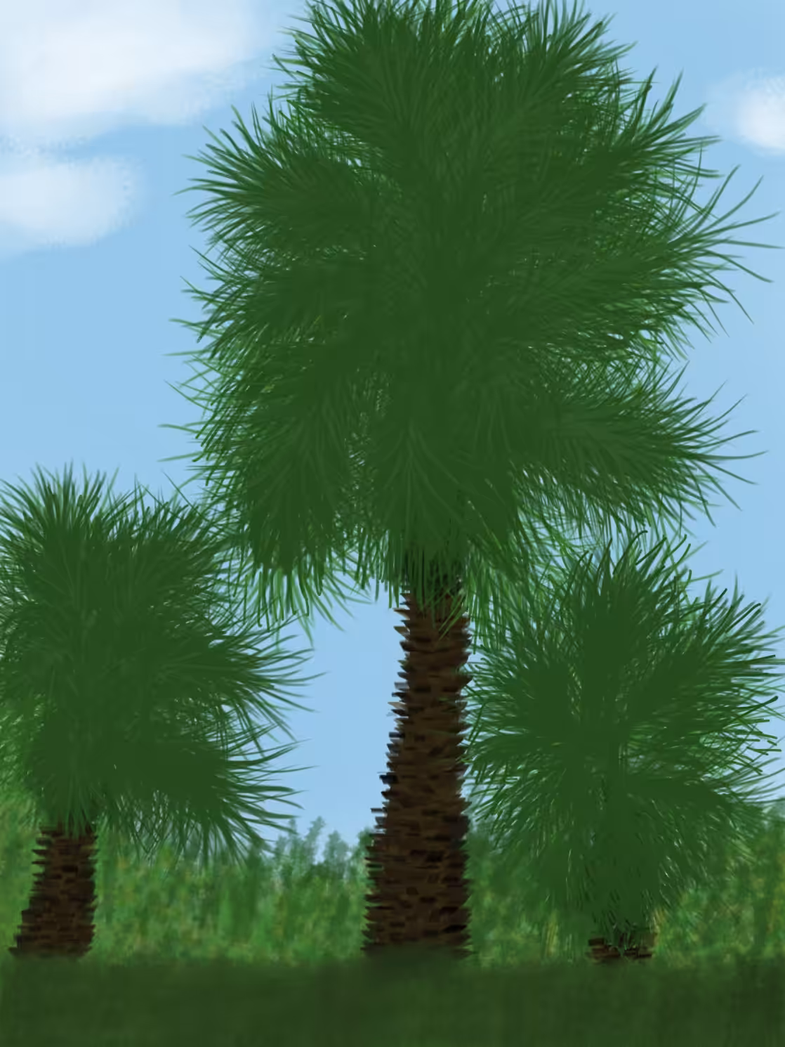 Green shade