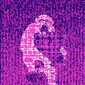 Rose Scanner