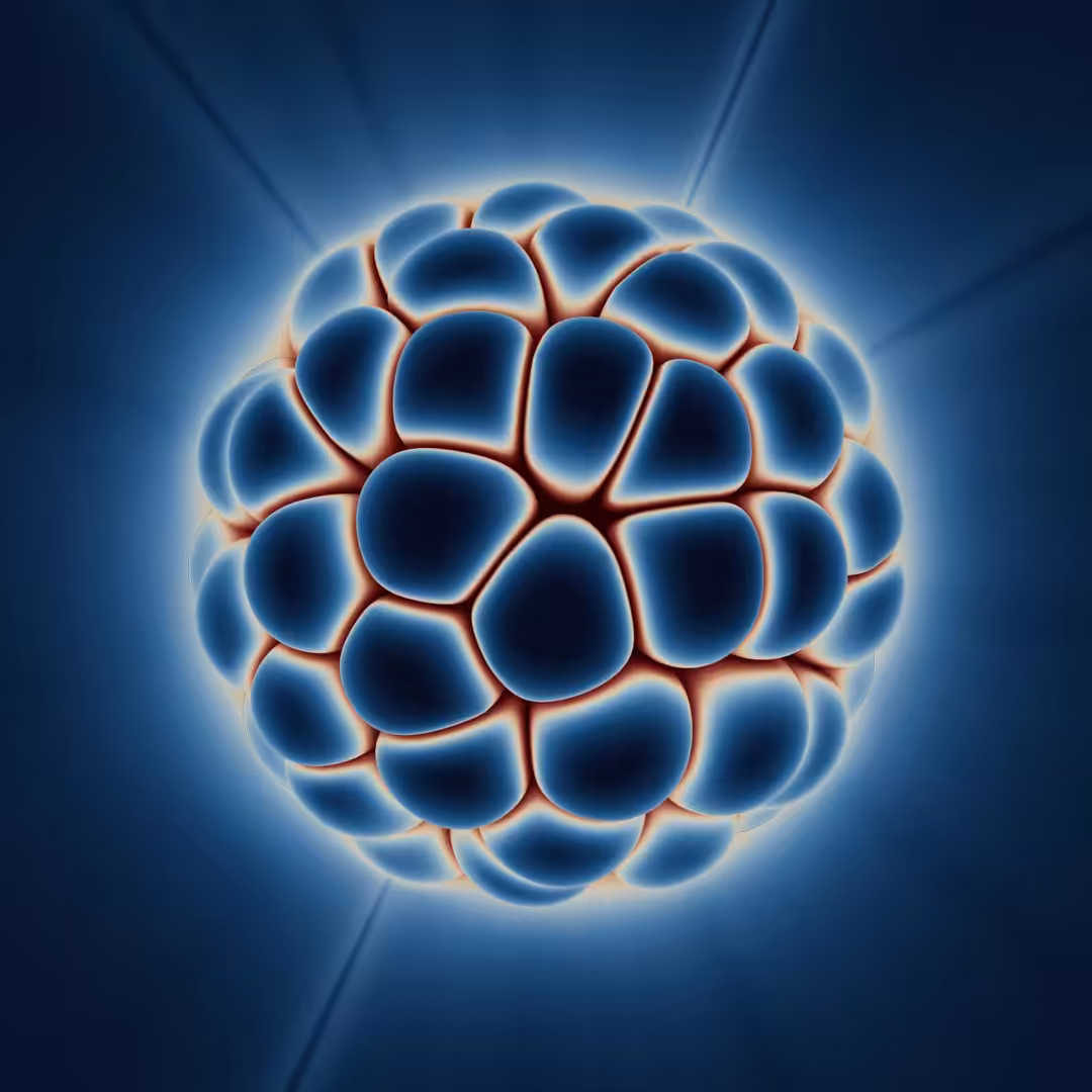 Core