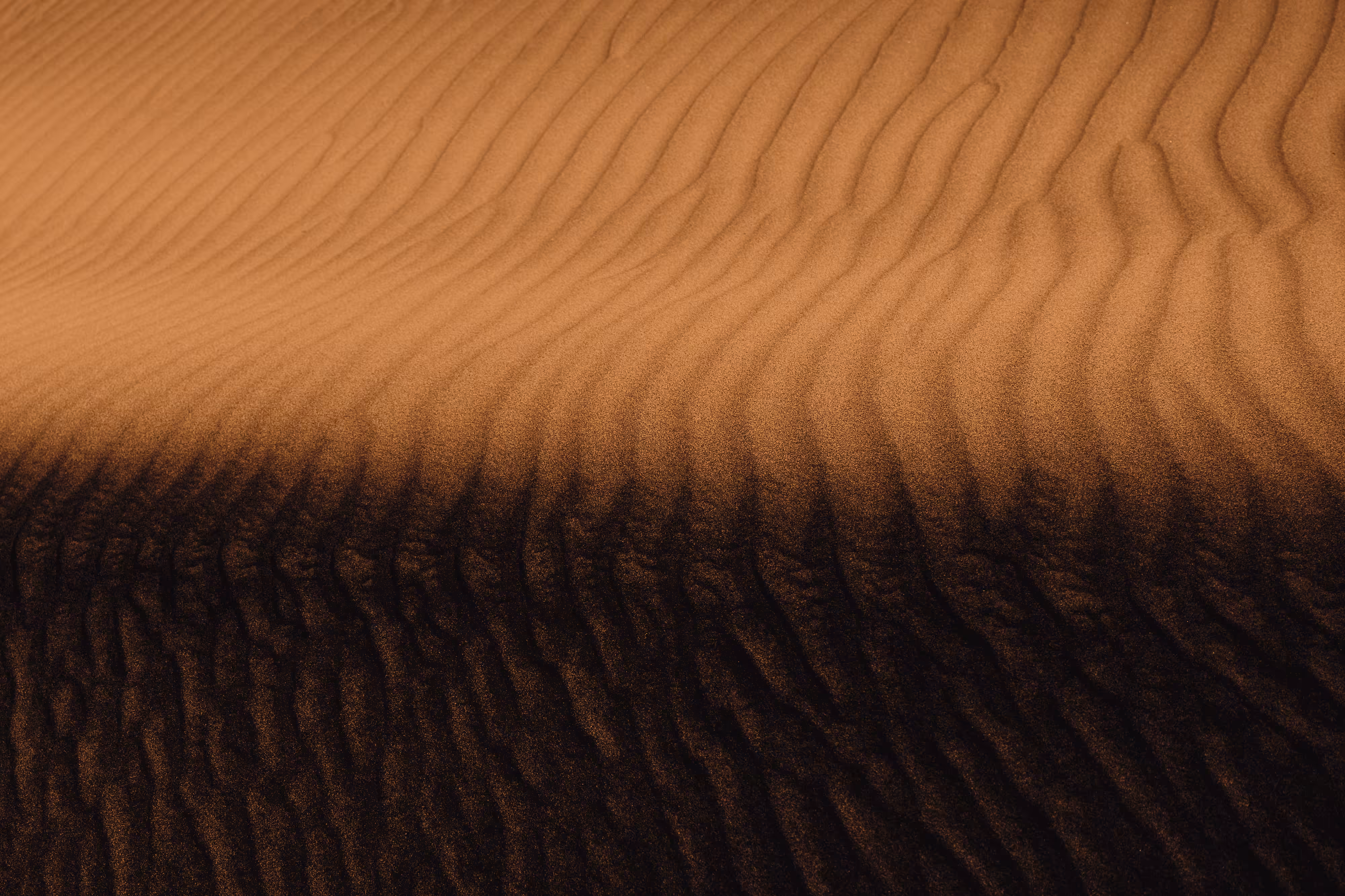 Dune: Alternate Takes #18