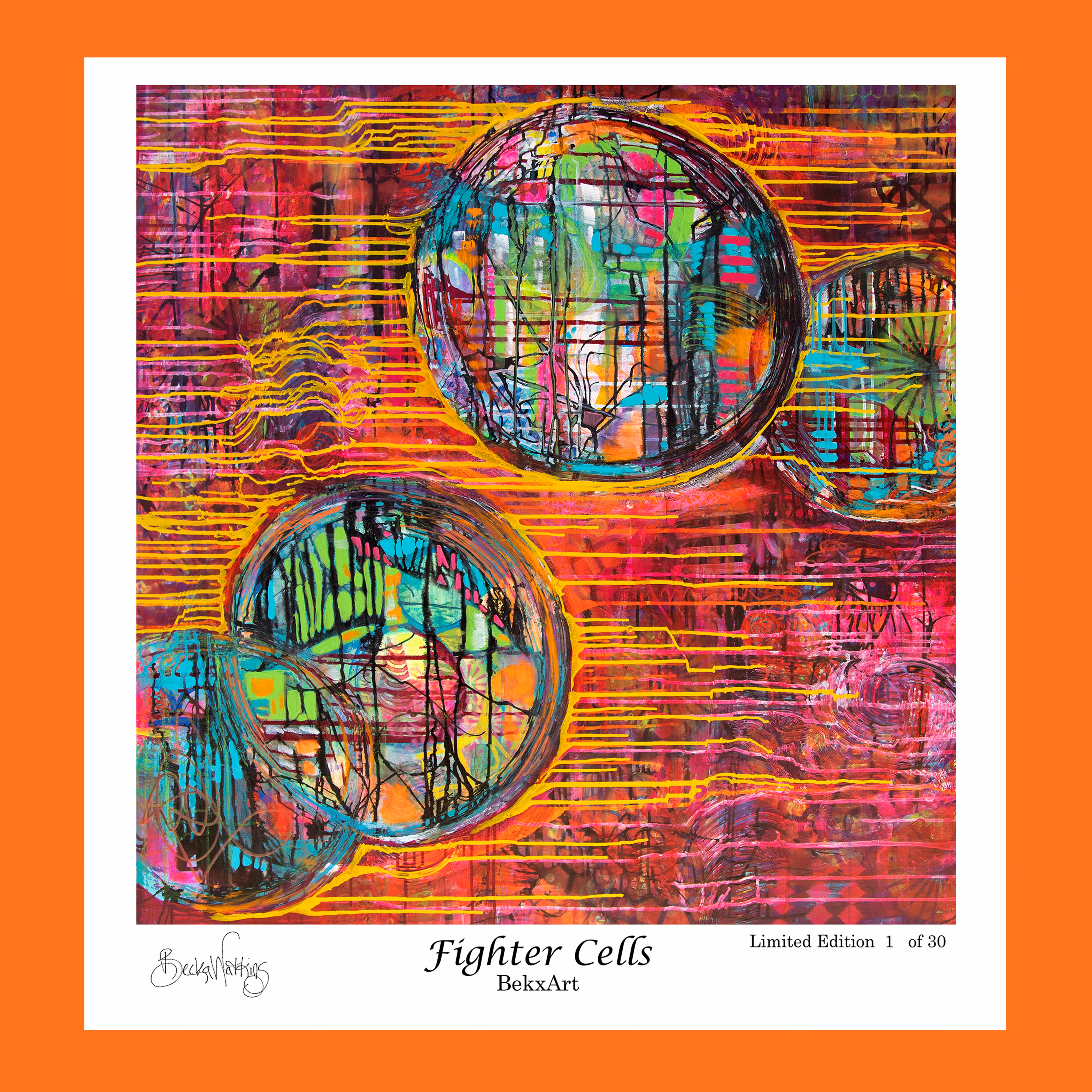 Fighter Cells Limited Edition