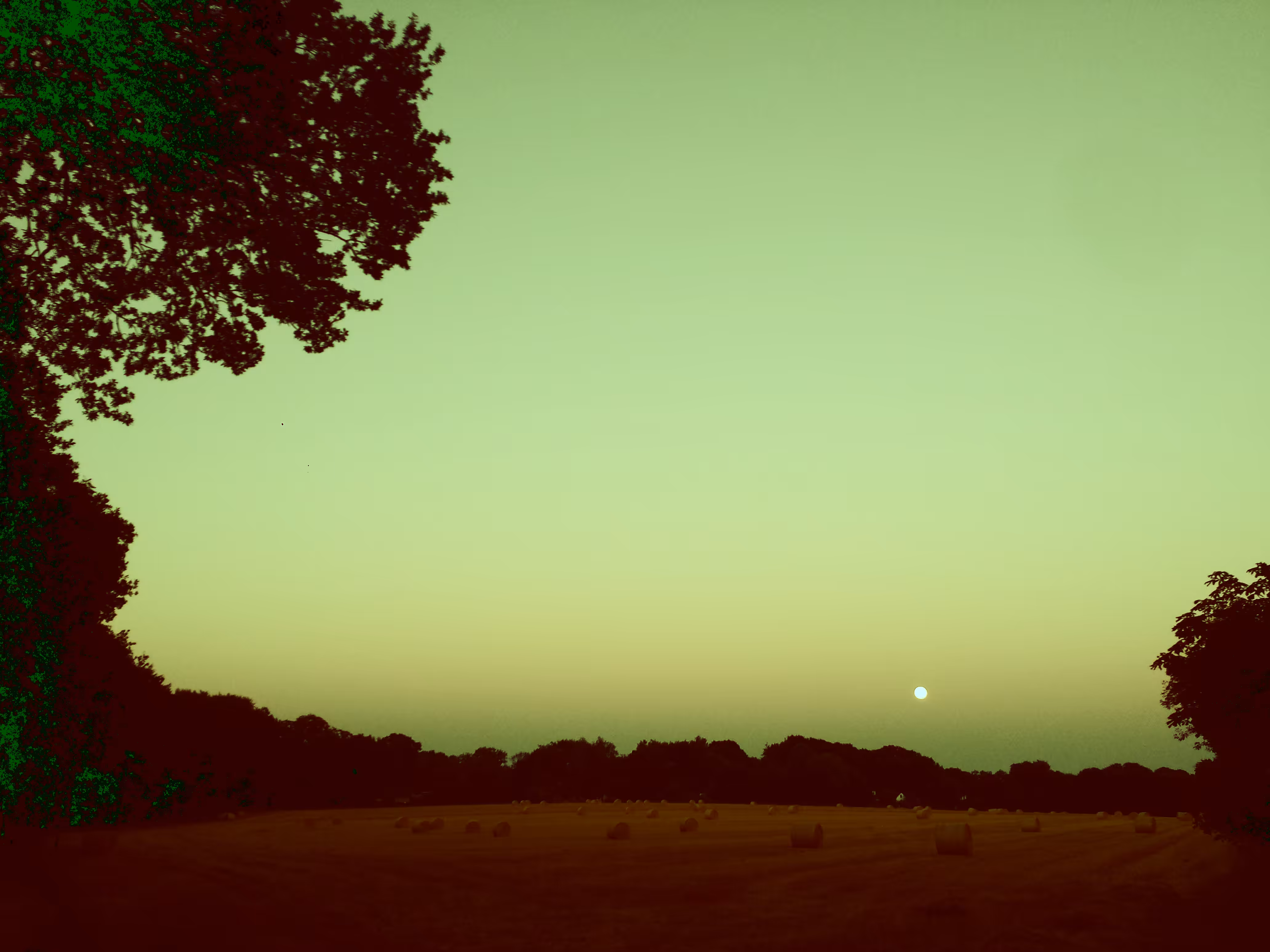 Fields