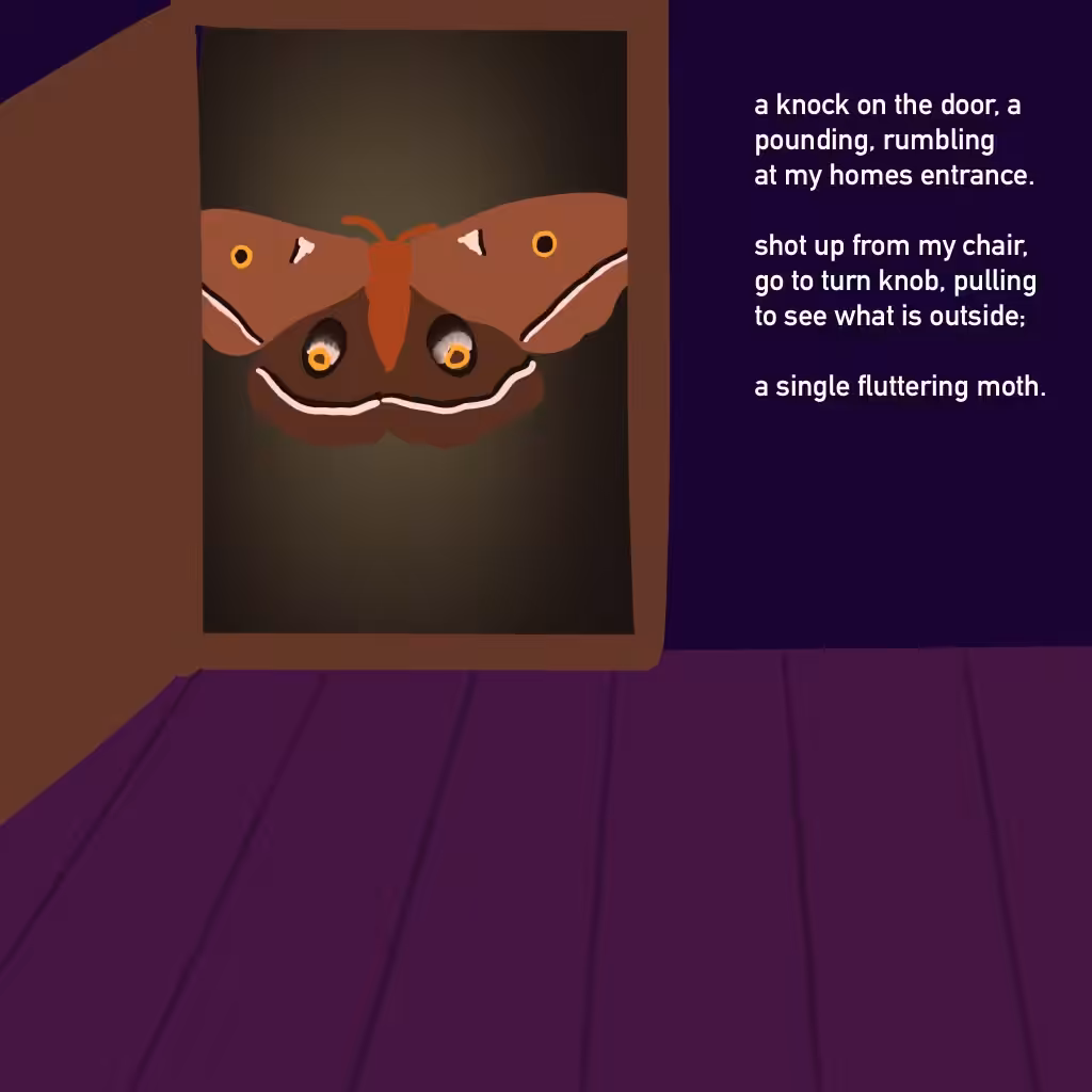 Inconspicuous Carnivorous Moth