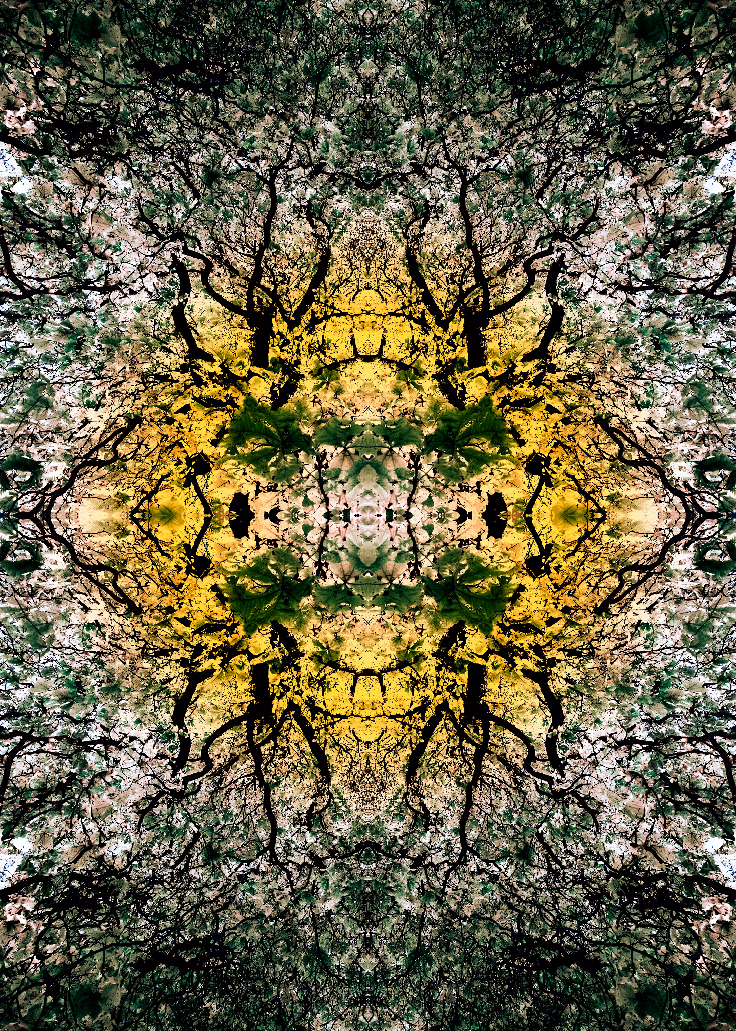 Web of Life