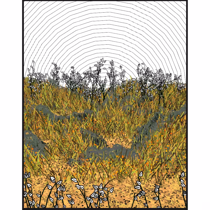 Contours #57