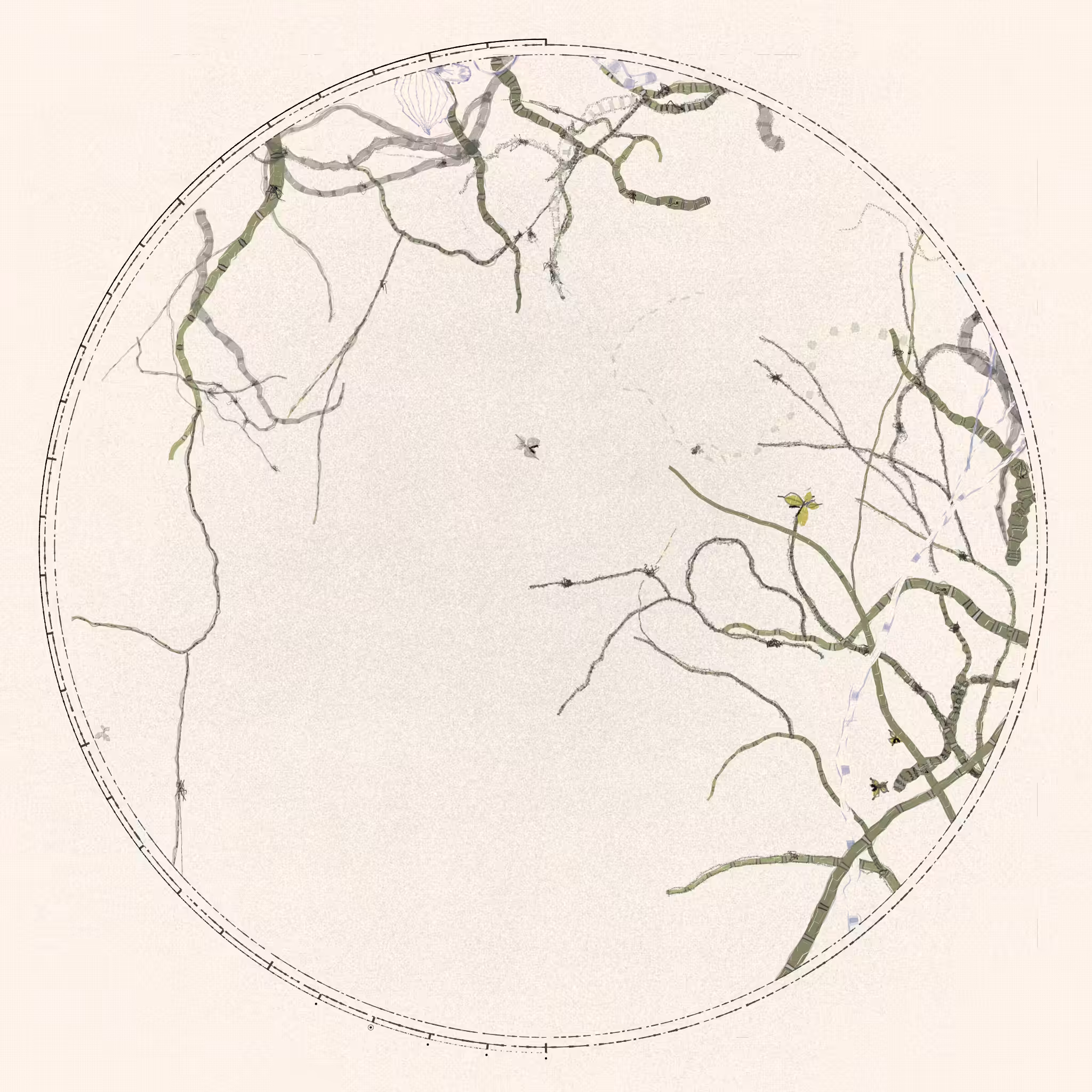 Polypaths | 植徑集 #201