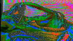 𝙍𝘼𝙍𝙀