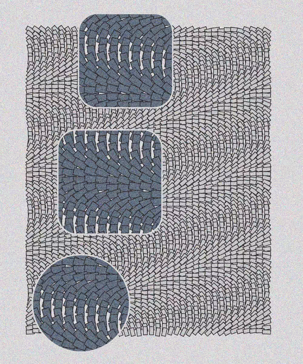 Plexus #9
