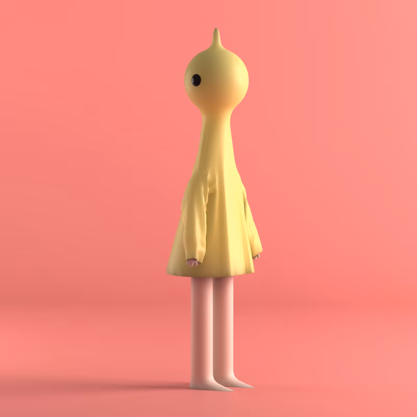 Practical Fashion