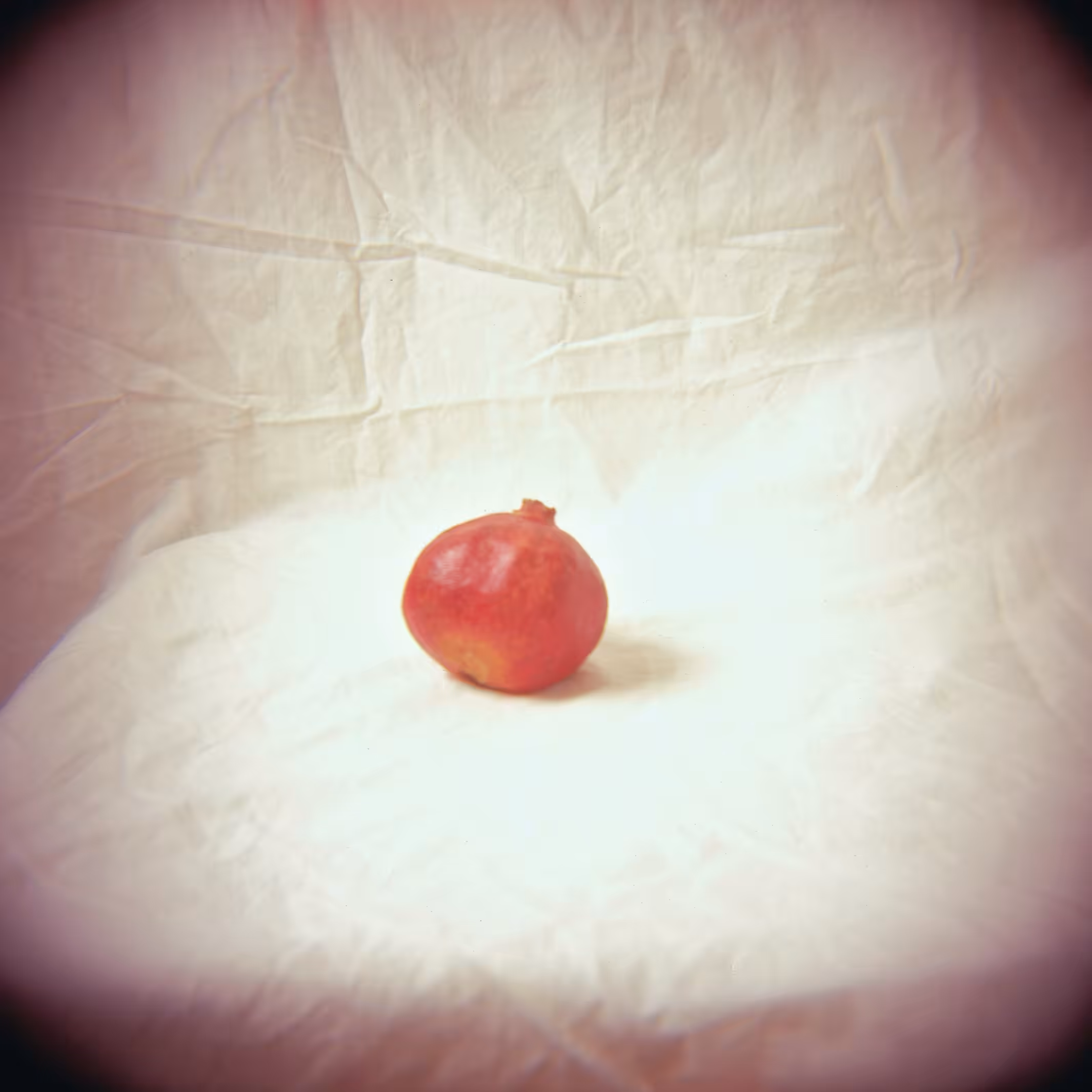 holga no. 11 (A Pomegranate in Repose Thinking about a Chaise Lounge)