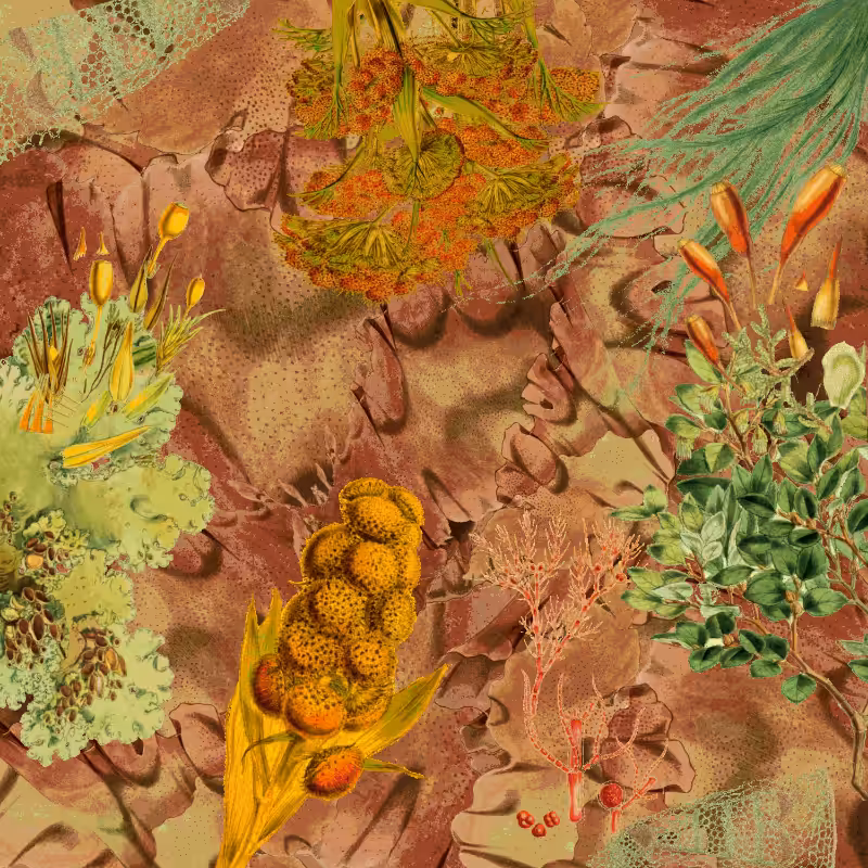 future flora from Antarctica's past #16