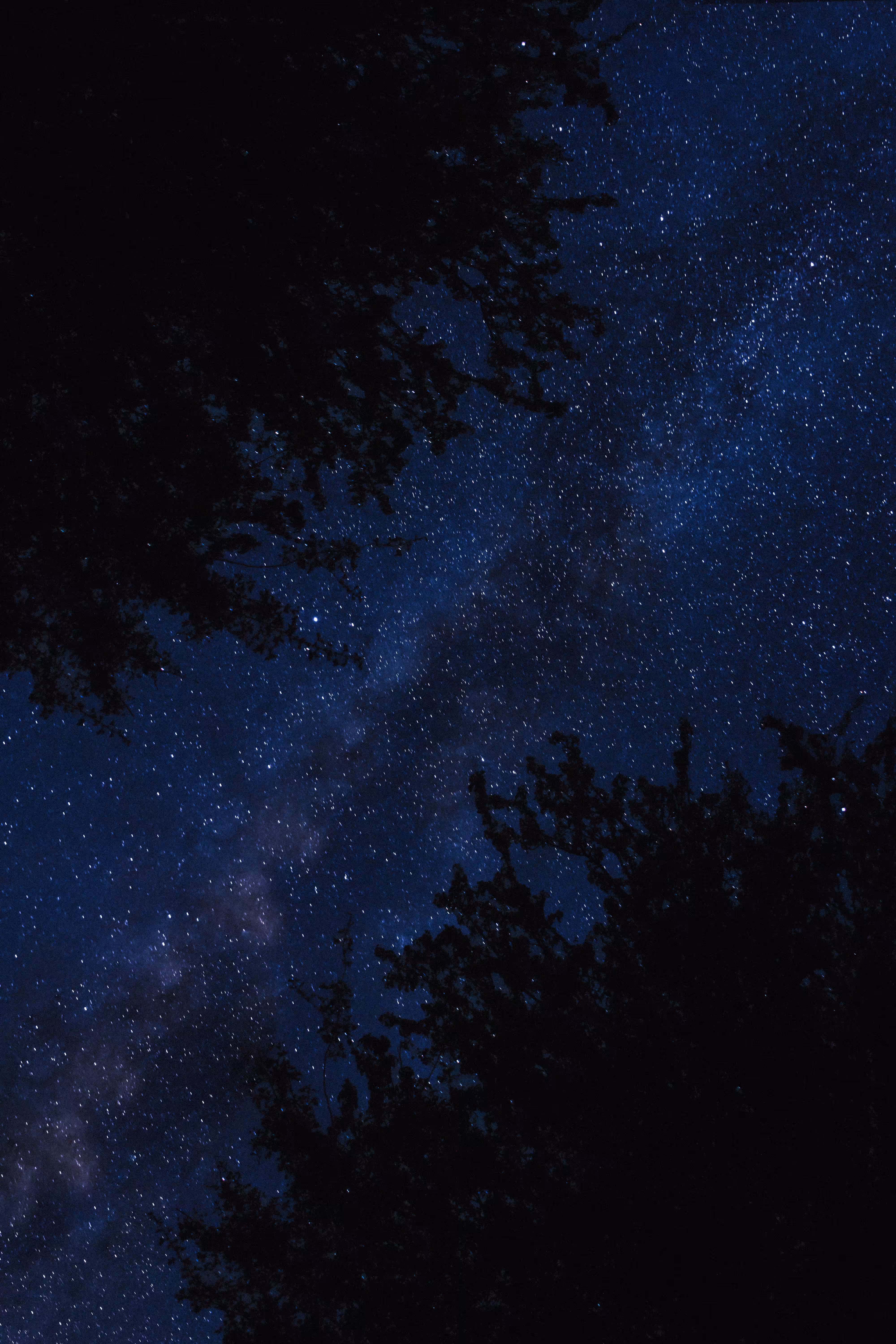 Starry night sky