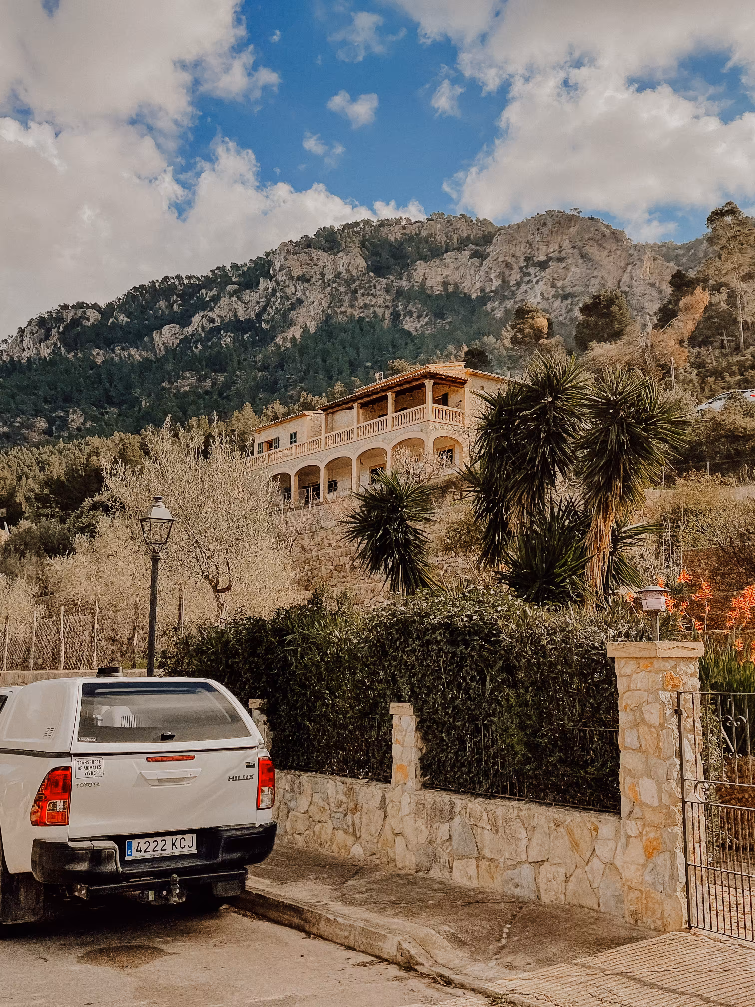 Mallorca vibes #11