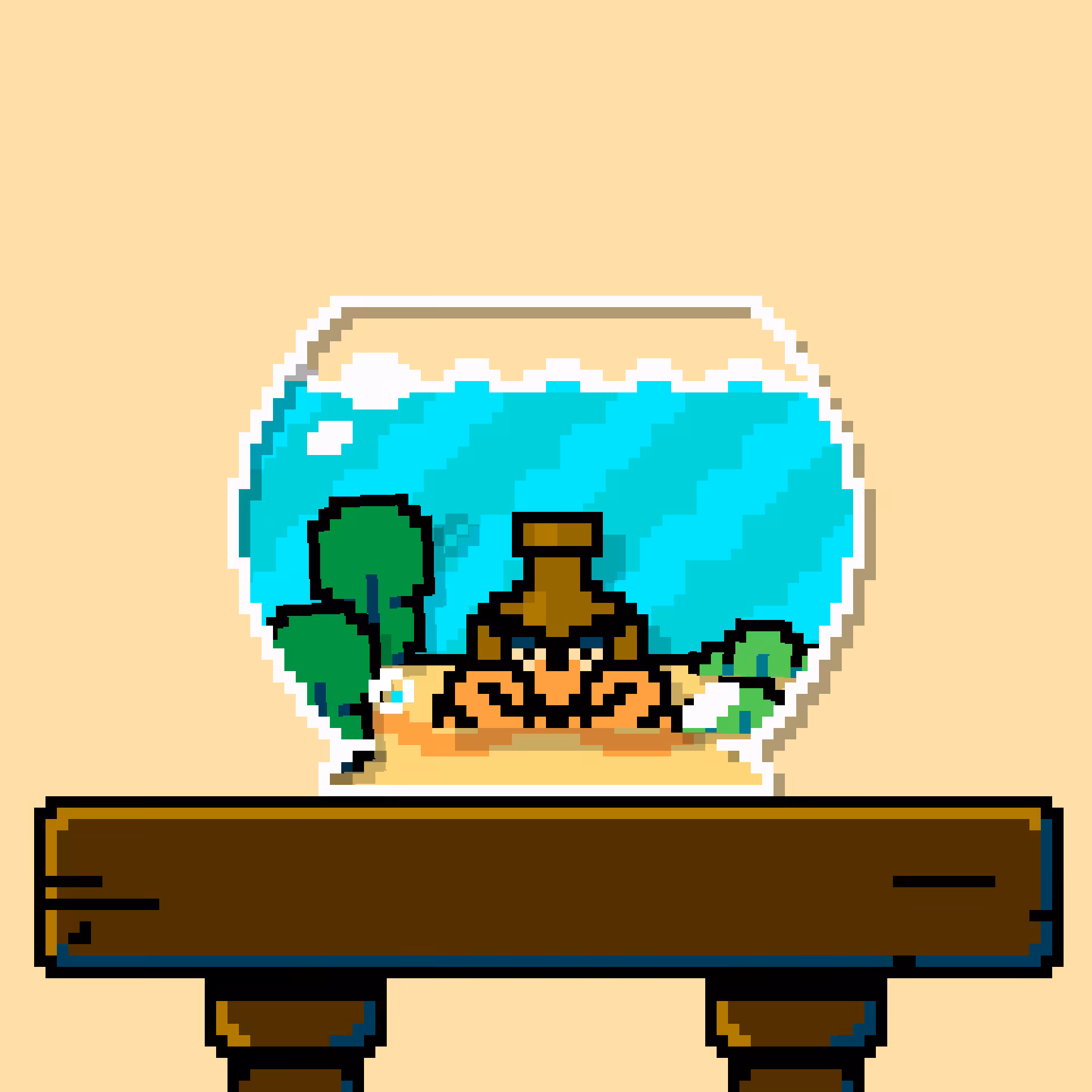 hermit crab #206