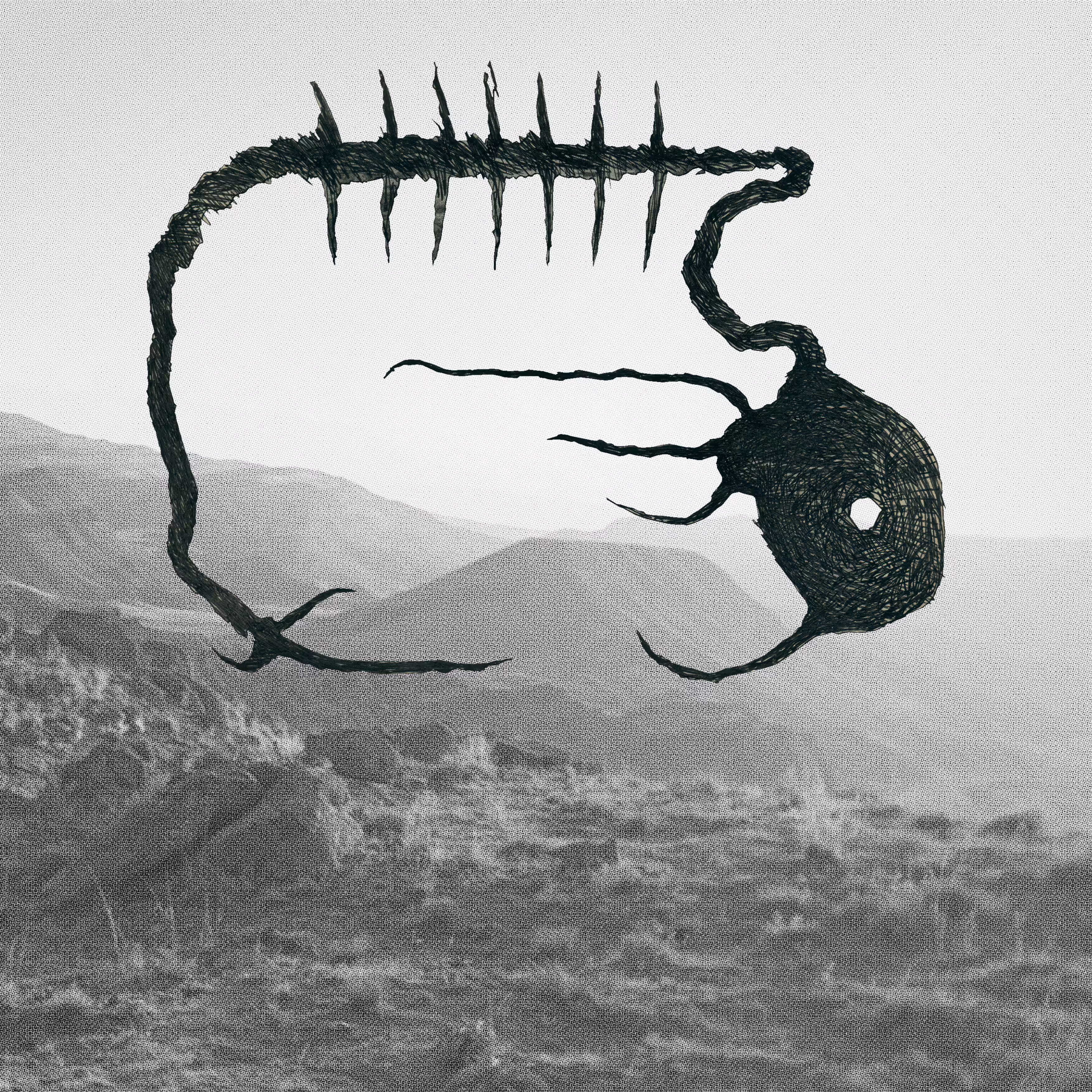A catalogue of silence