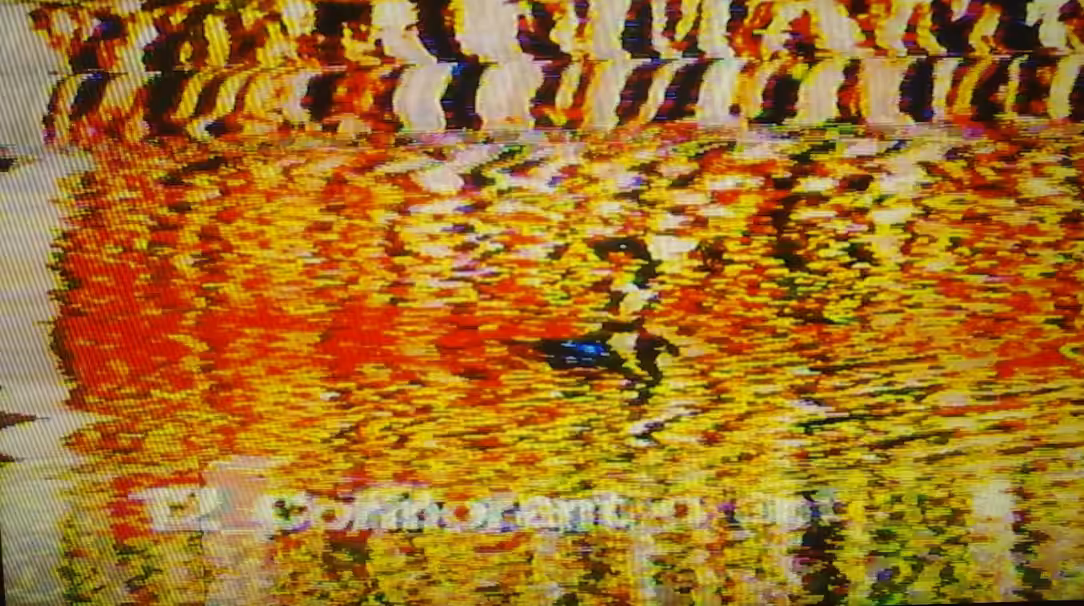 Cormorant