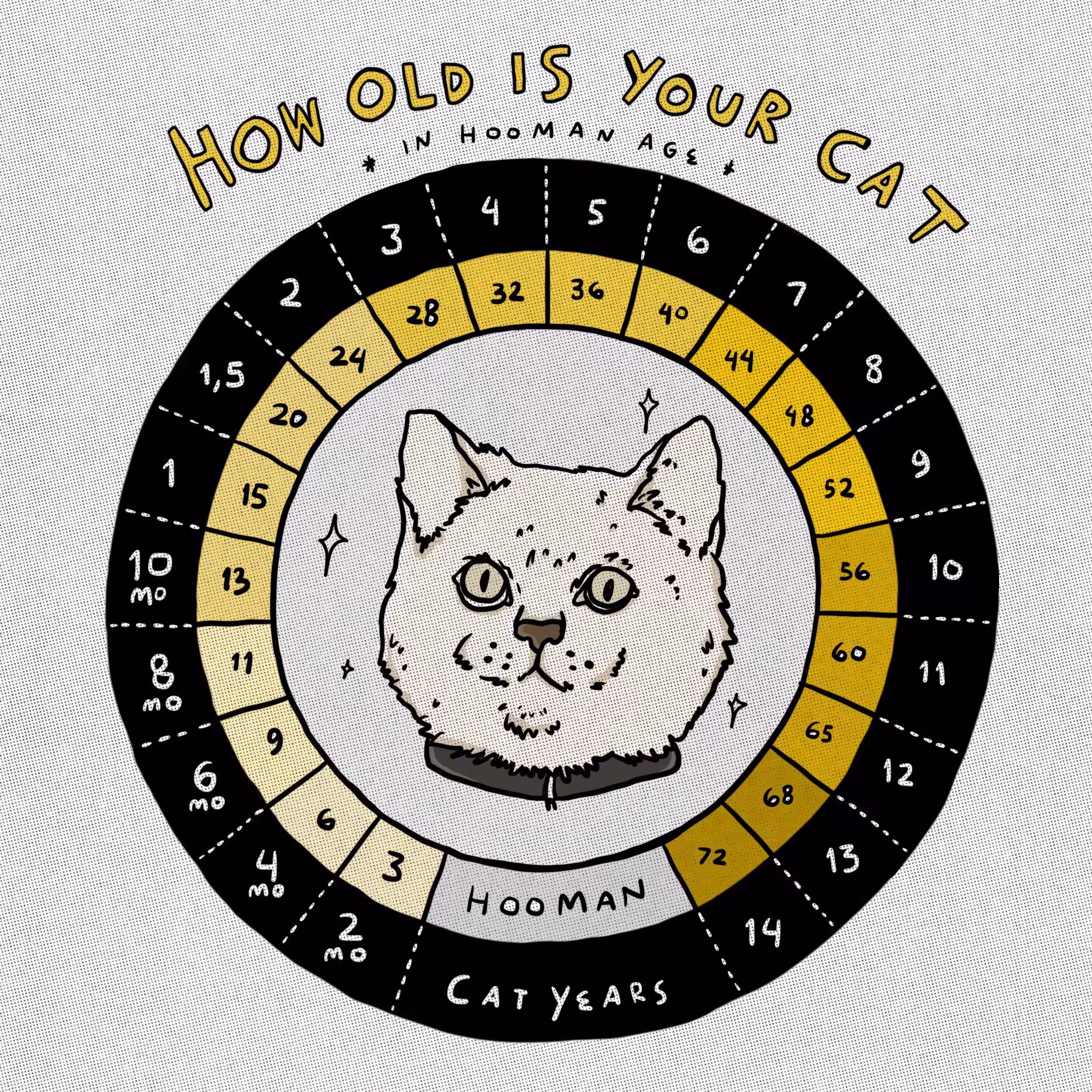 How Old is Your Cat ?