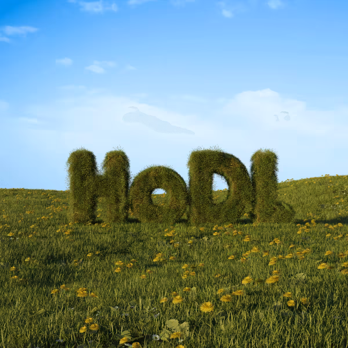 HODL 095
