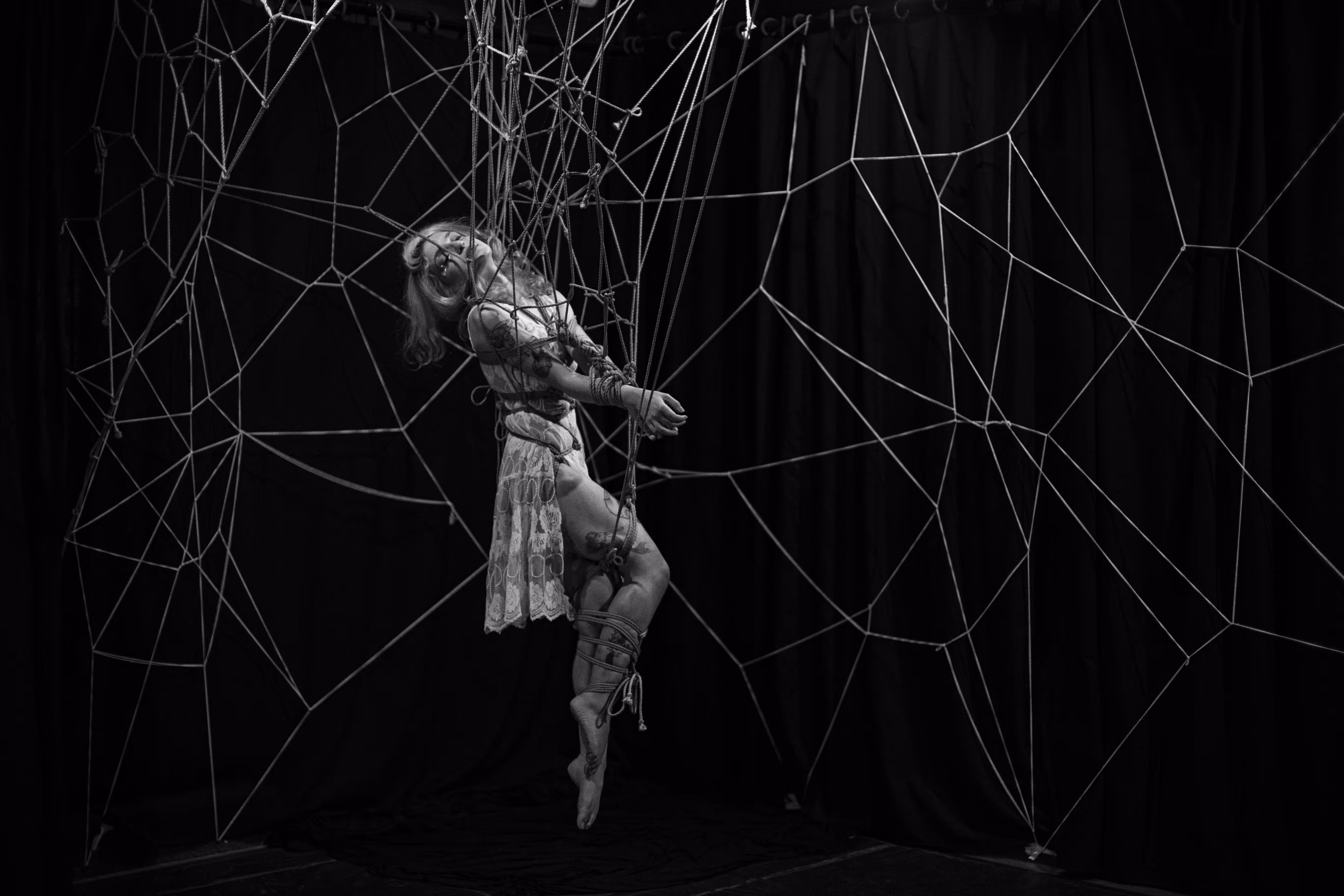 Web #2