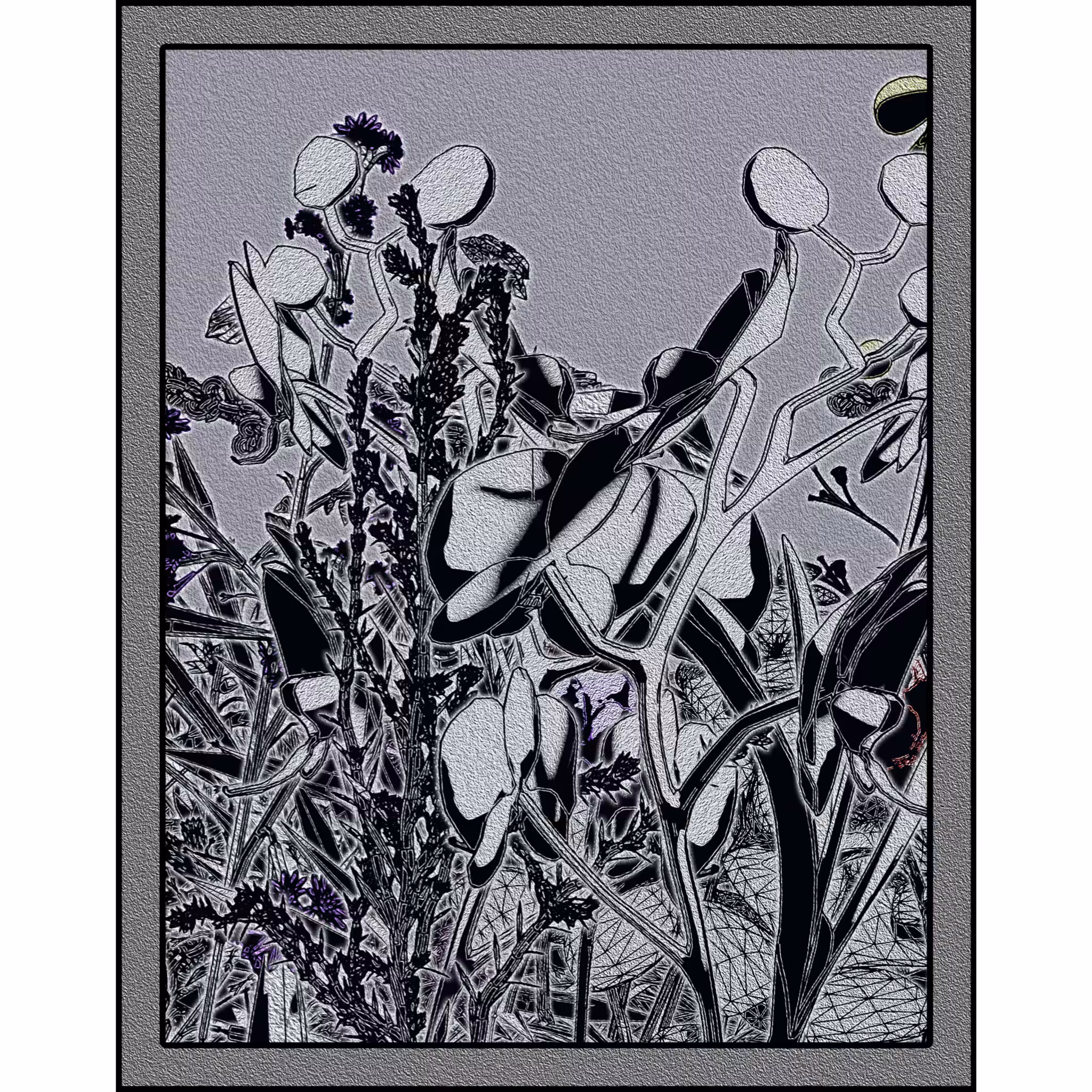 Flower View #199