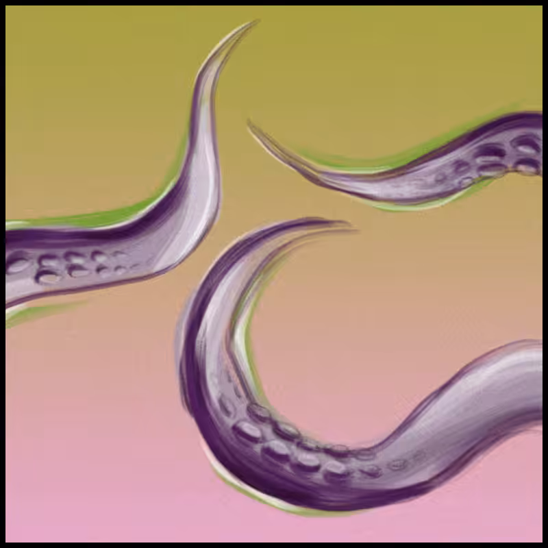 tentacles #2