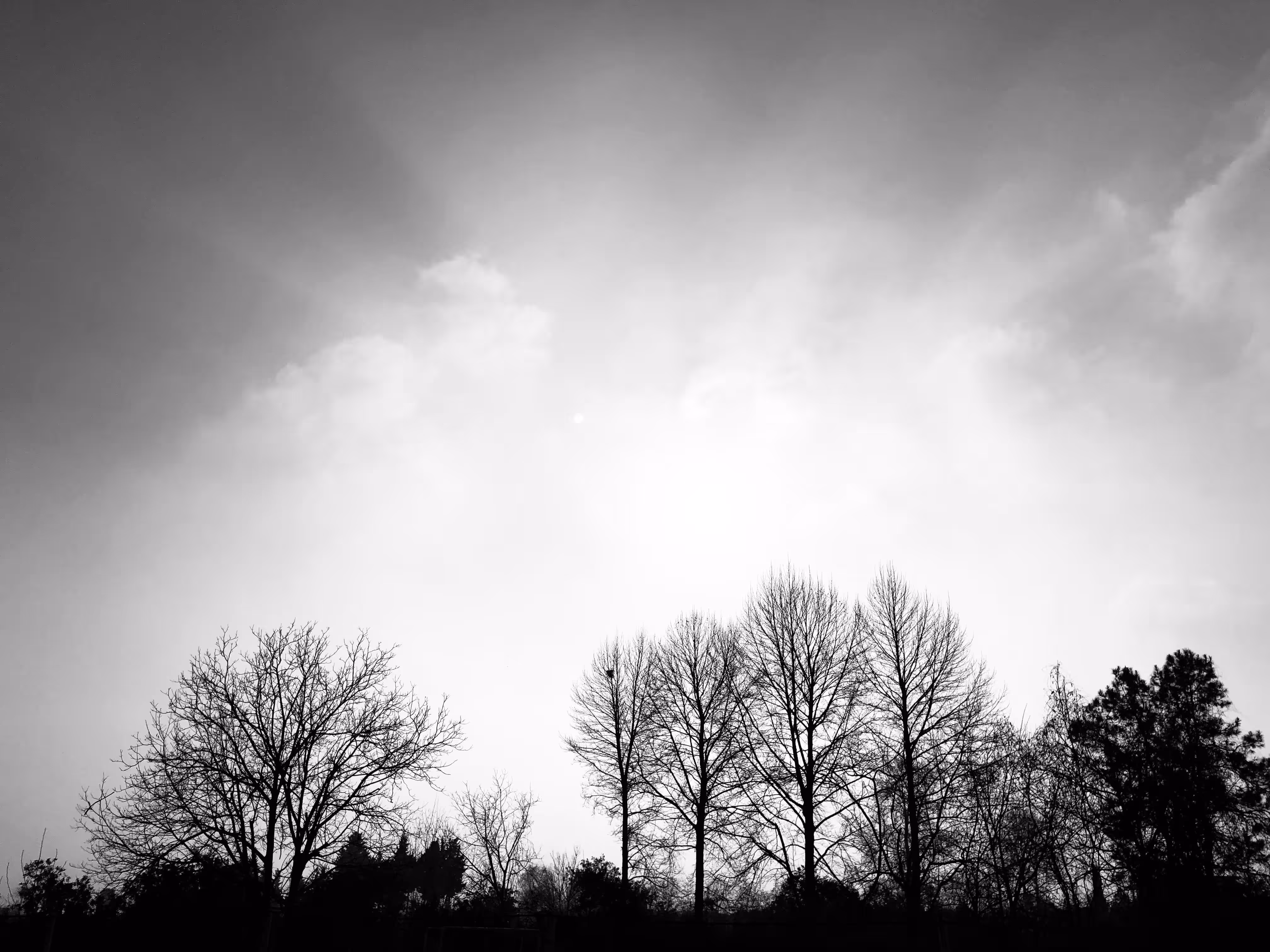 Quadruple trees