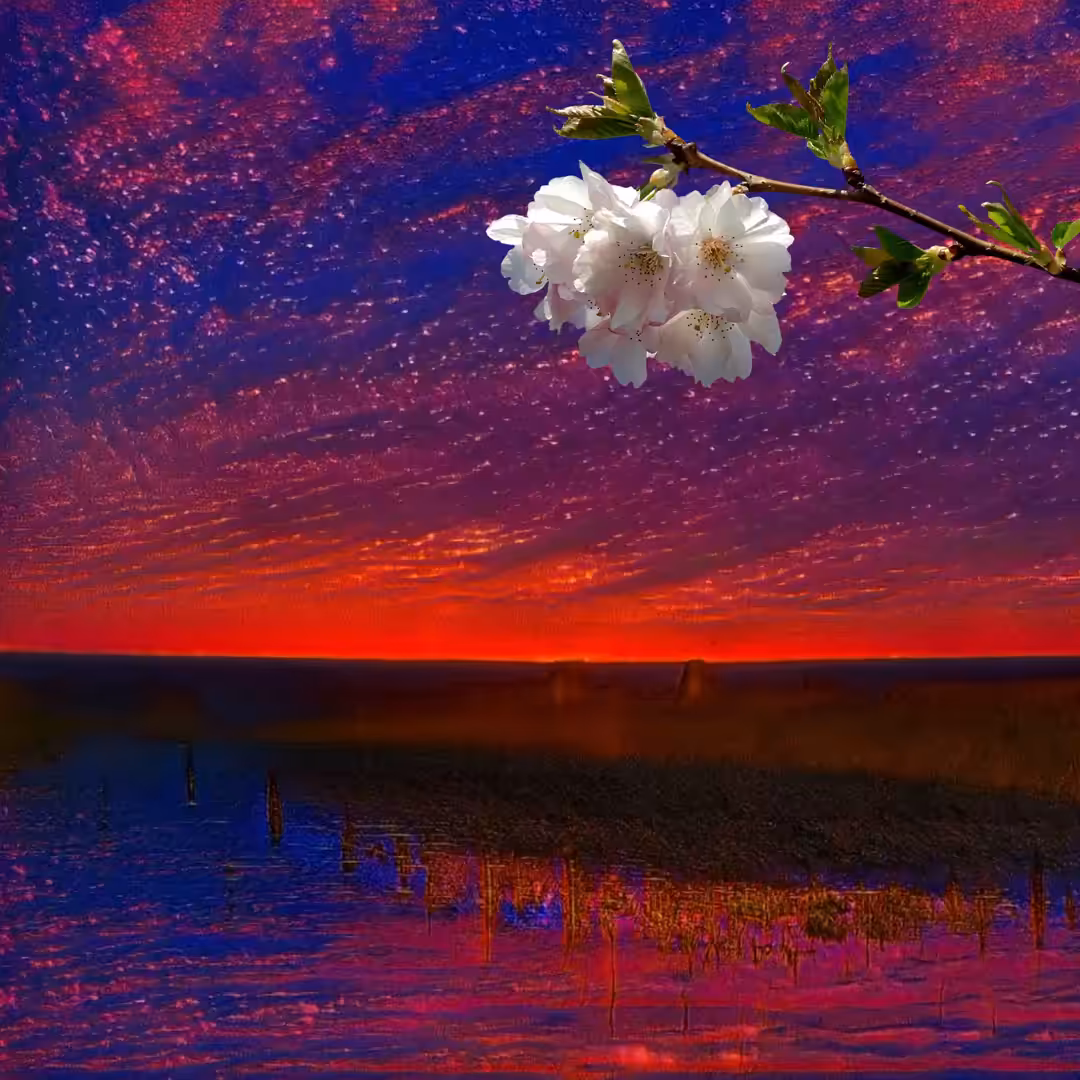 / THE CANVAS OF THE LIFE /