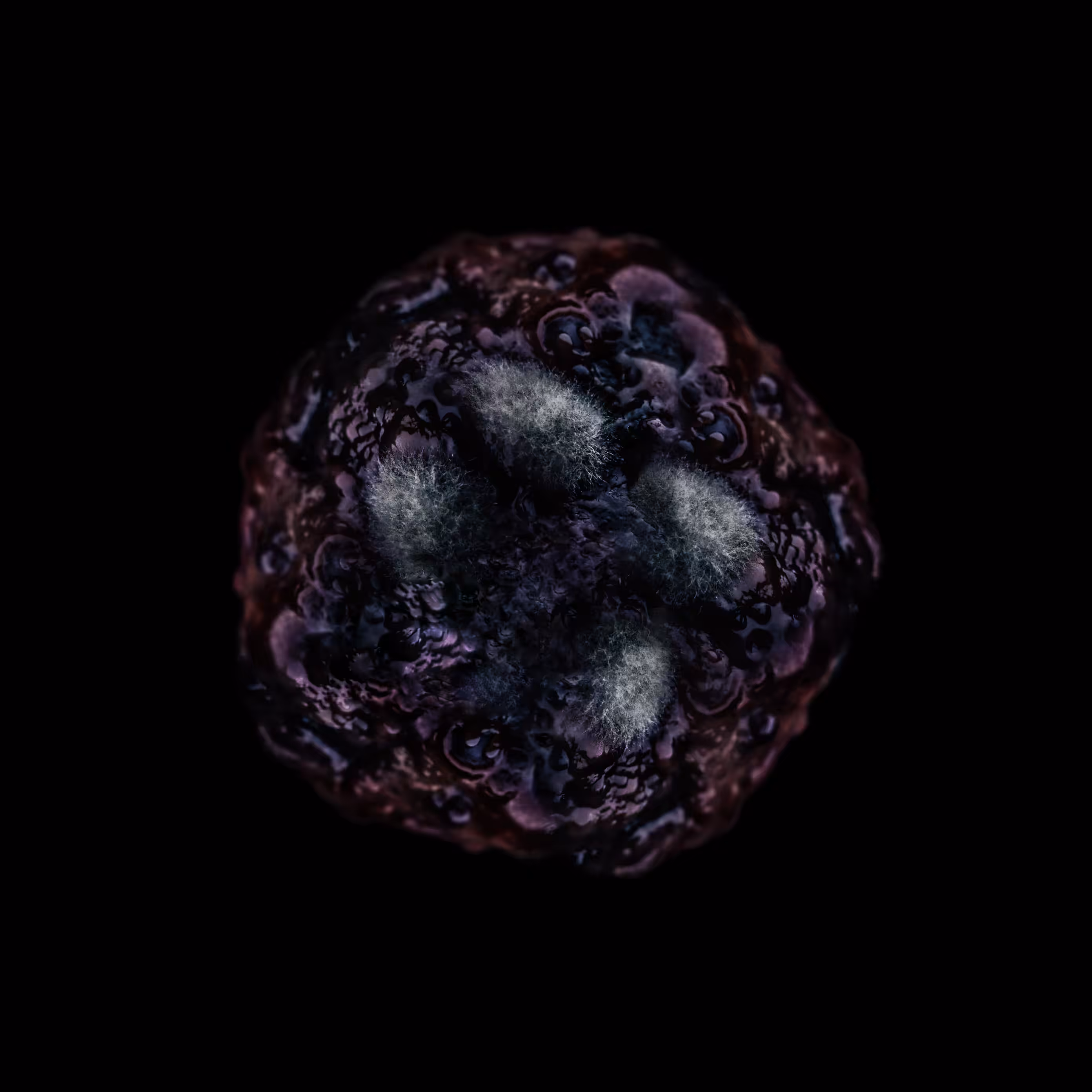METAPHS #02