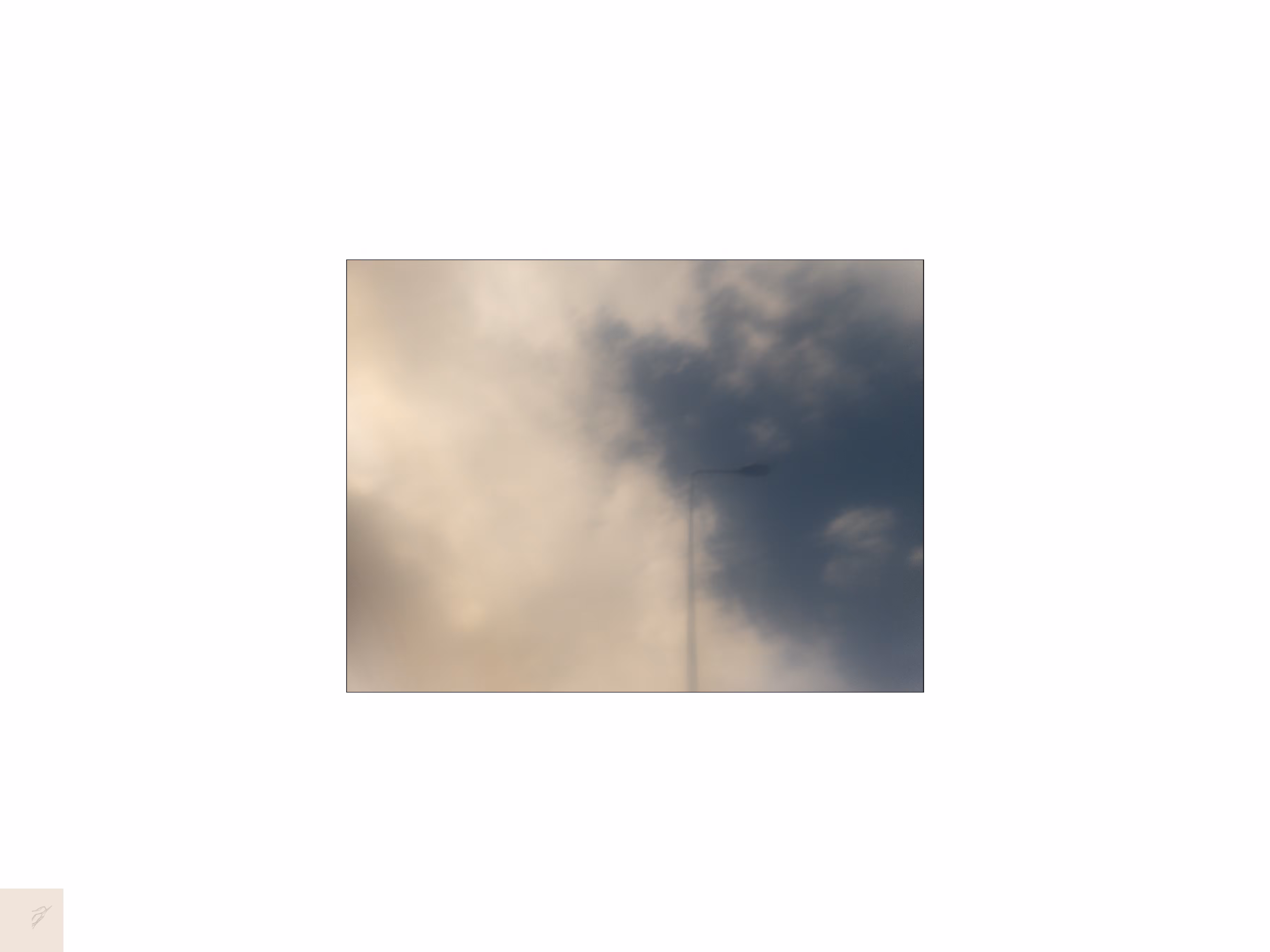 seagullonlamp.21EST2
