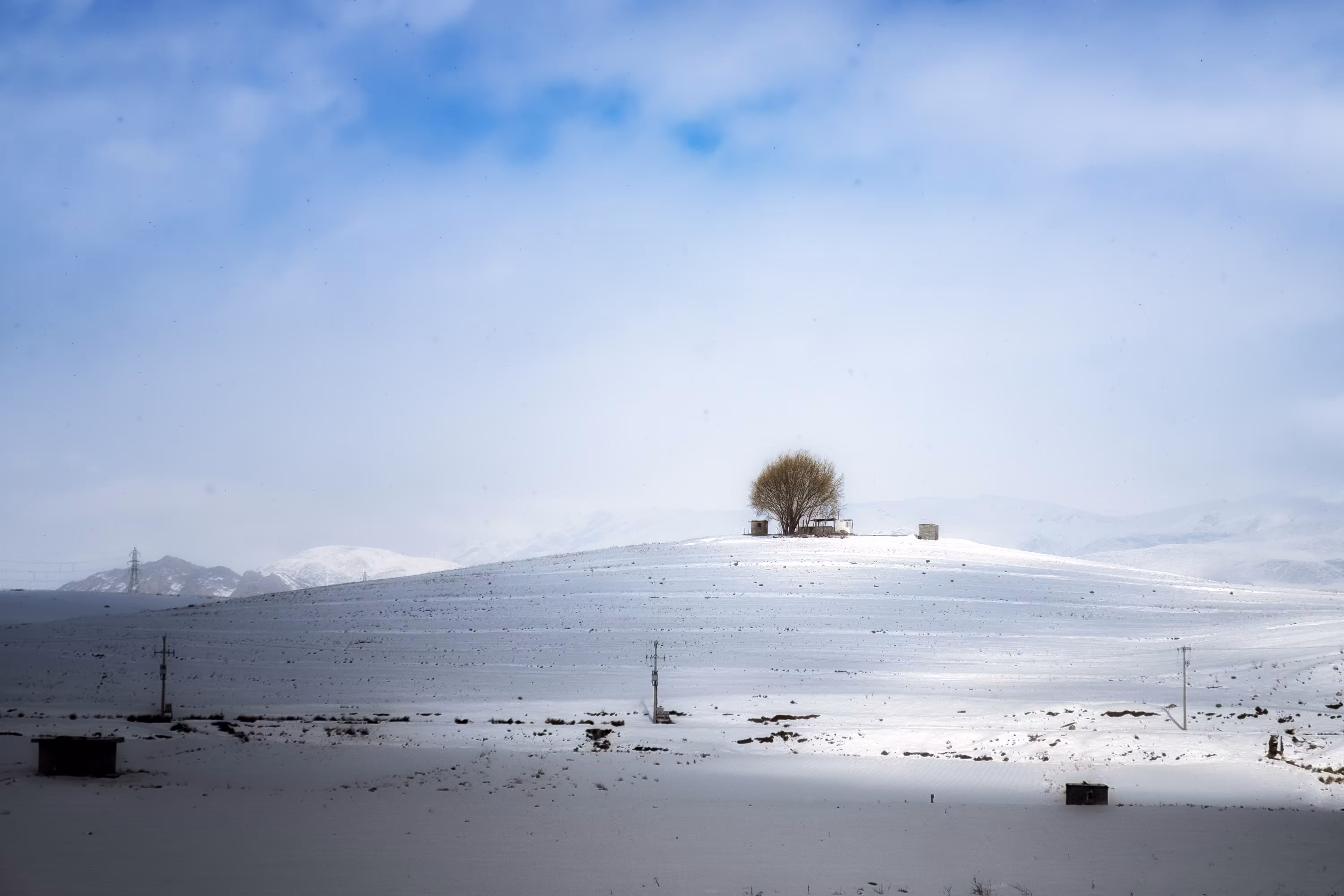 my photography: A Snowy day#2