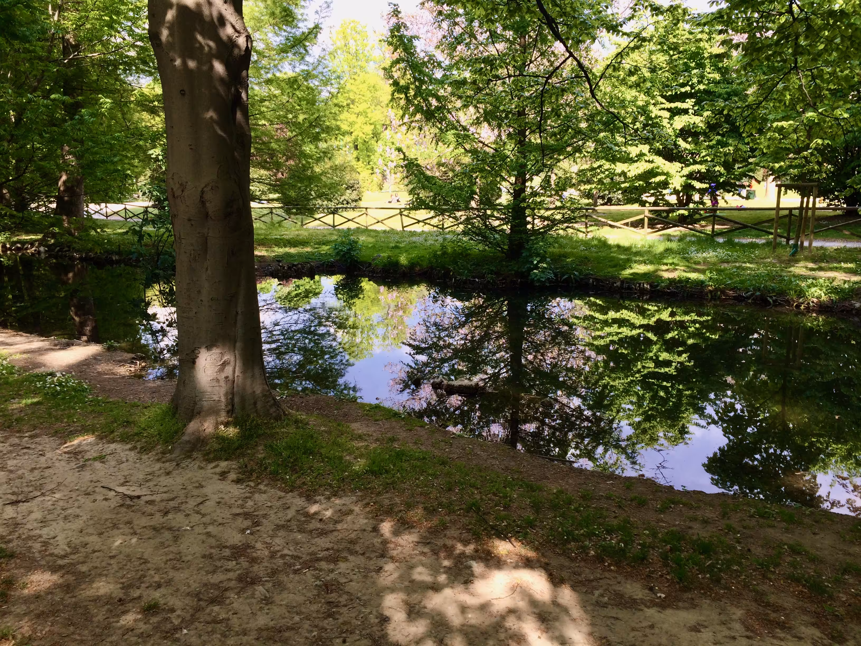 Little Pond 1