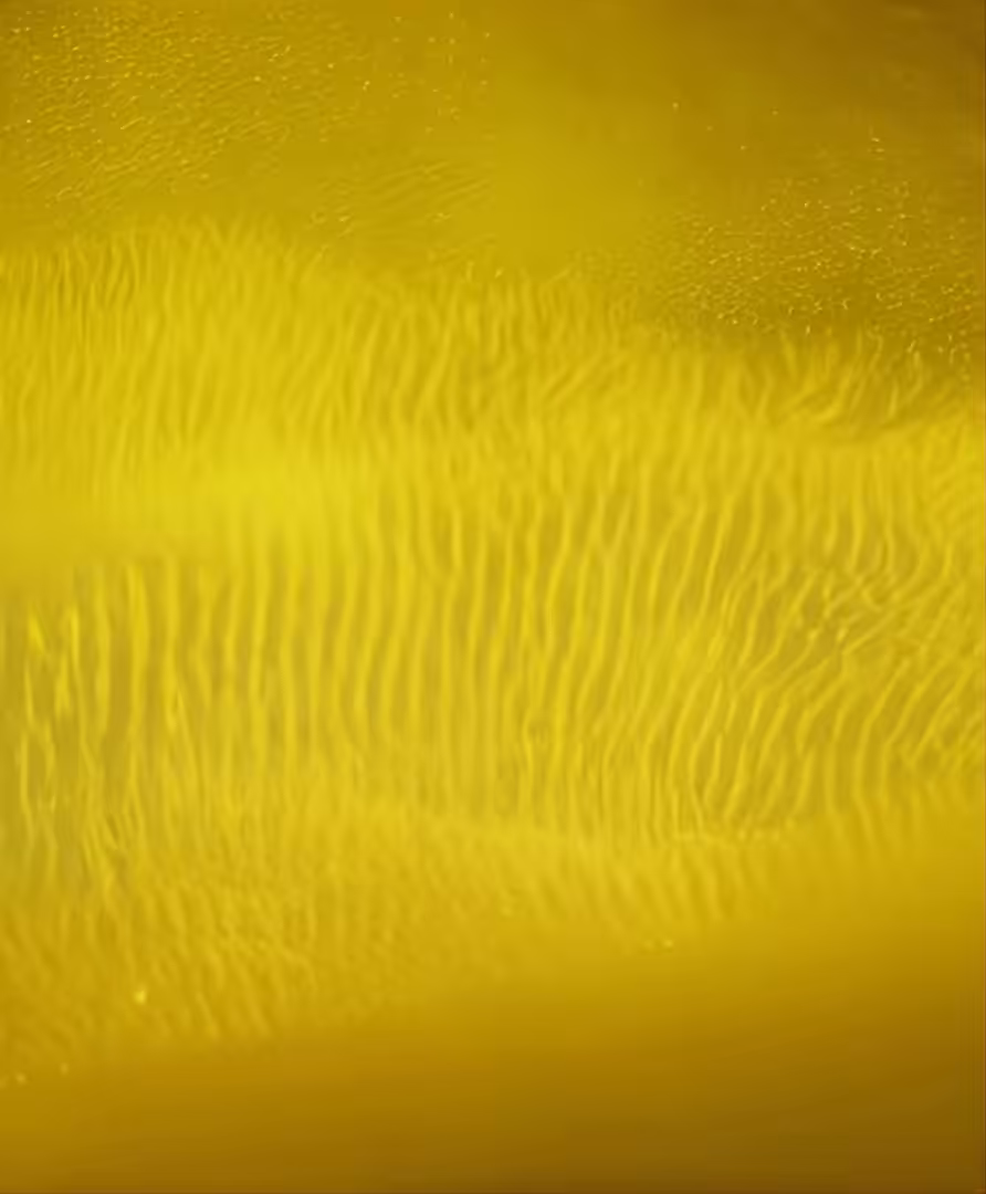 The walking of bodies on the changing climate: How Capitalism Sounds When It's Drowning in Its Own Emissions