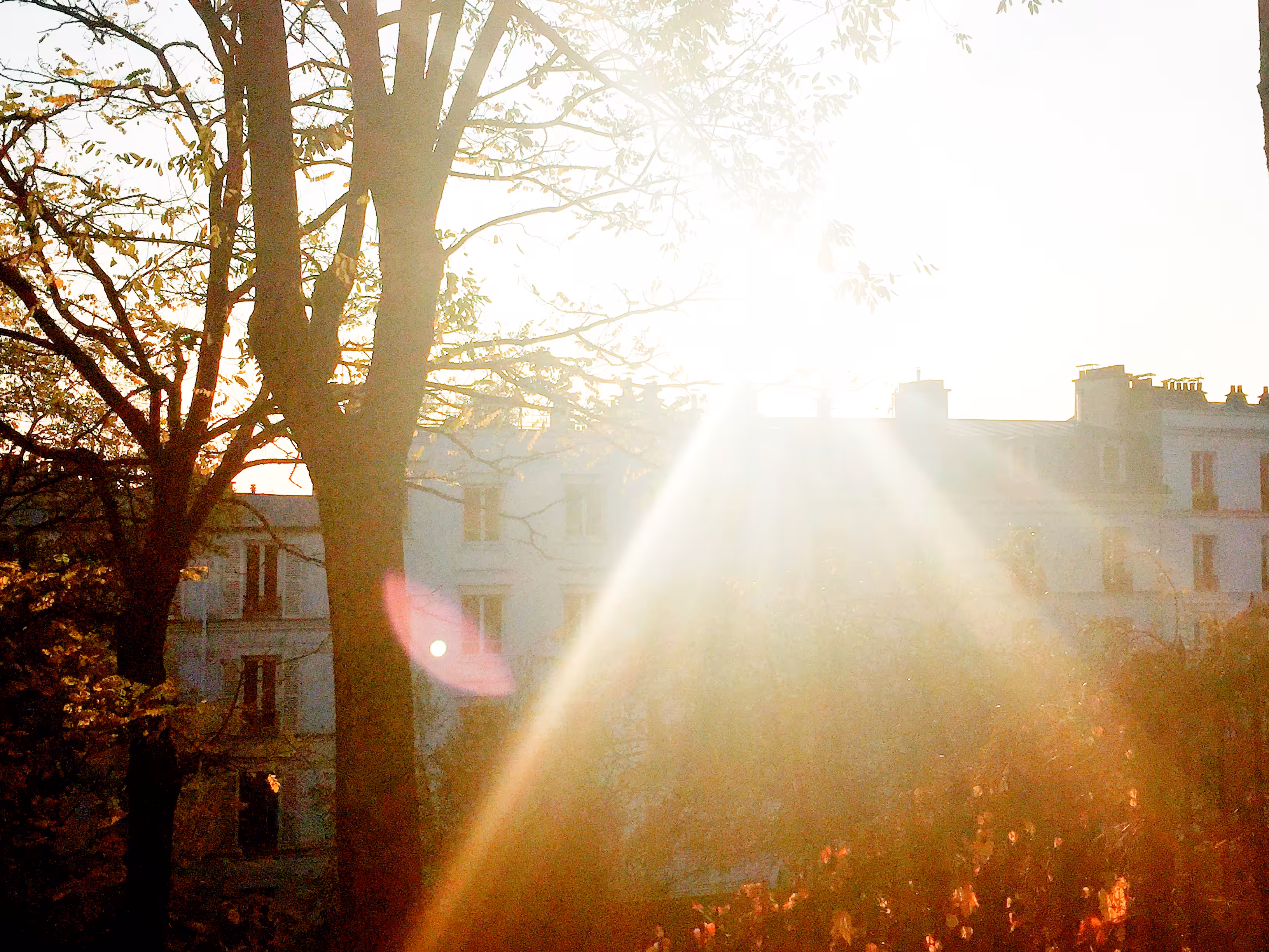 montmartre