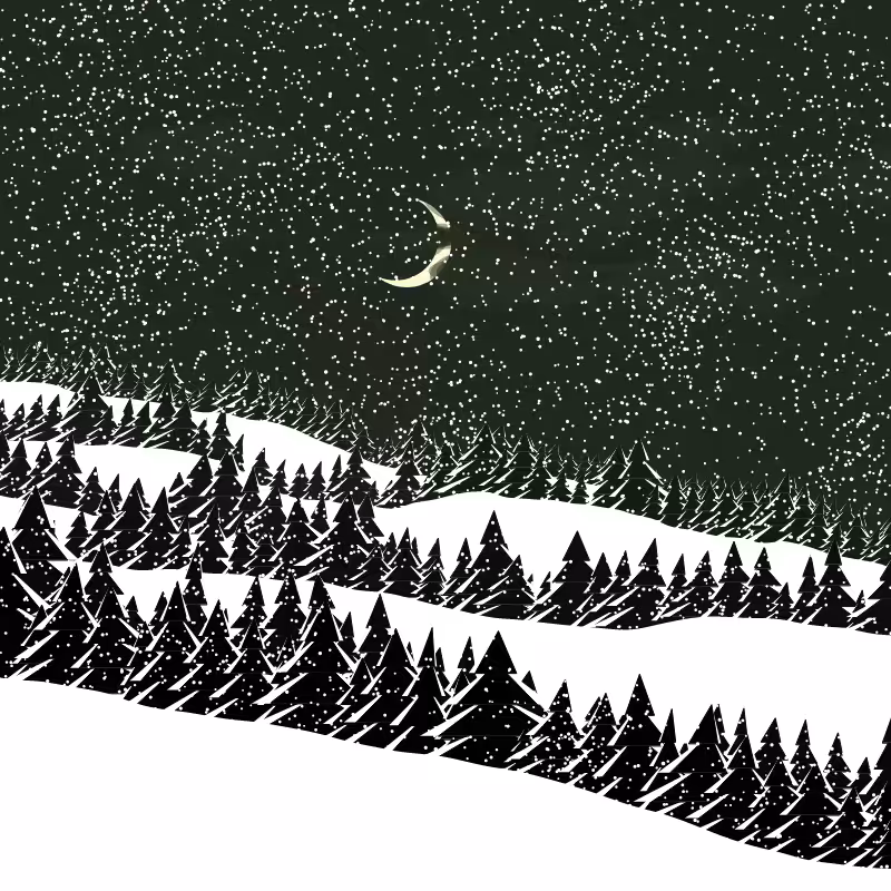 Winterland #118
