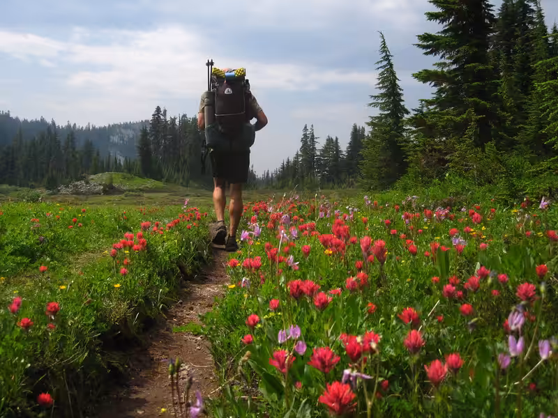 Moose & Flowers PCT 2012