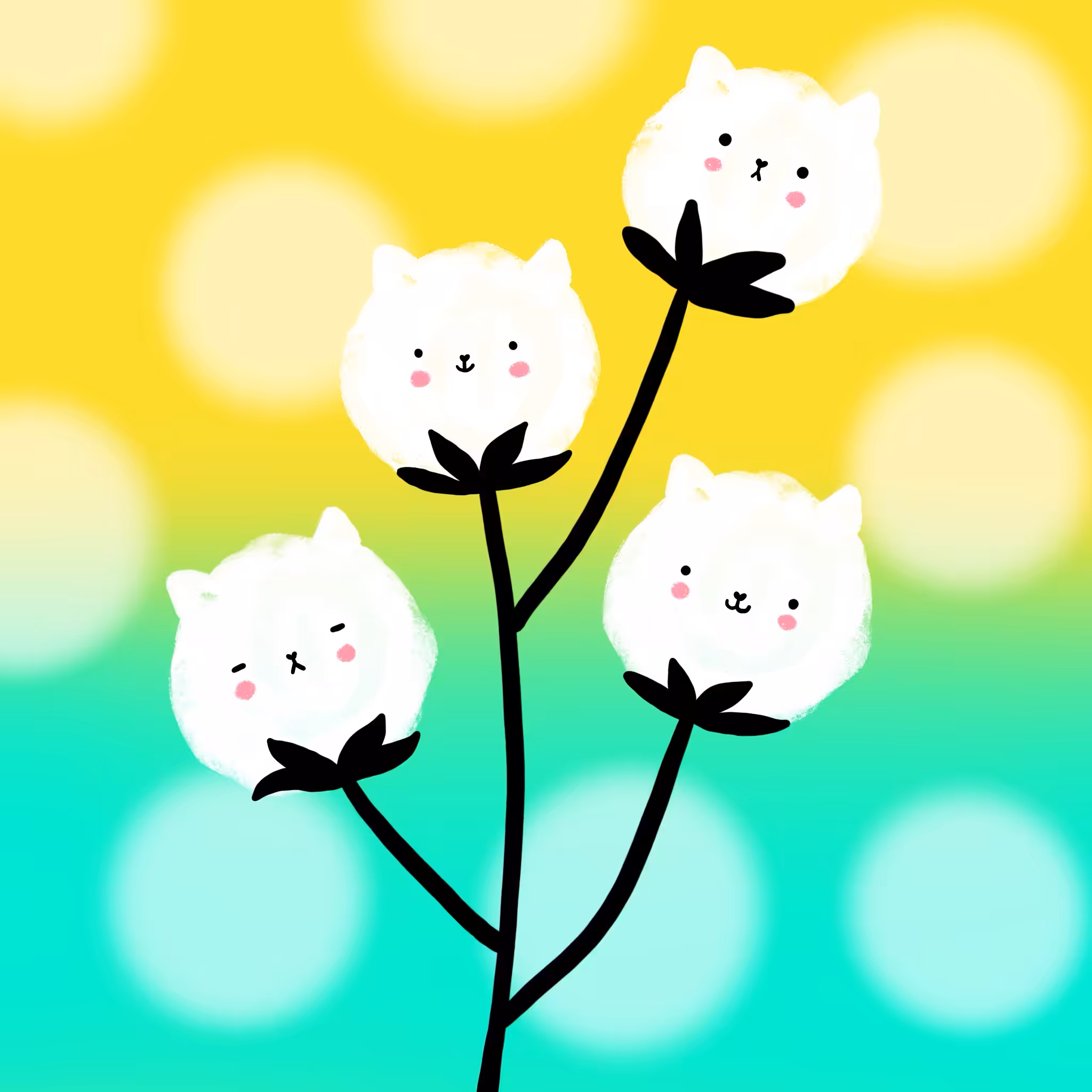 Cotton Cat