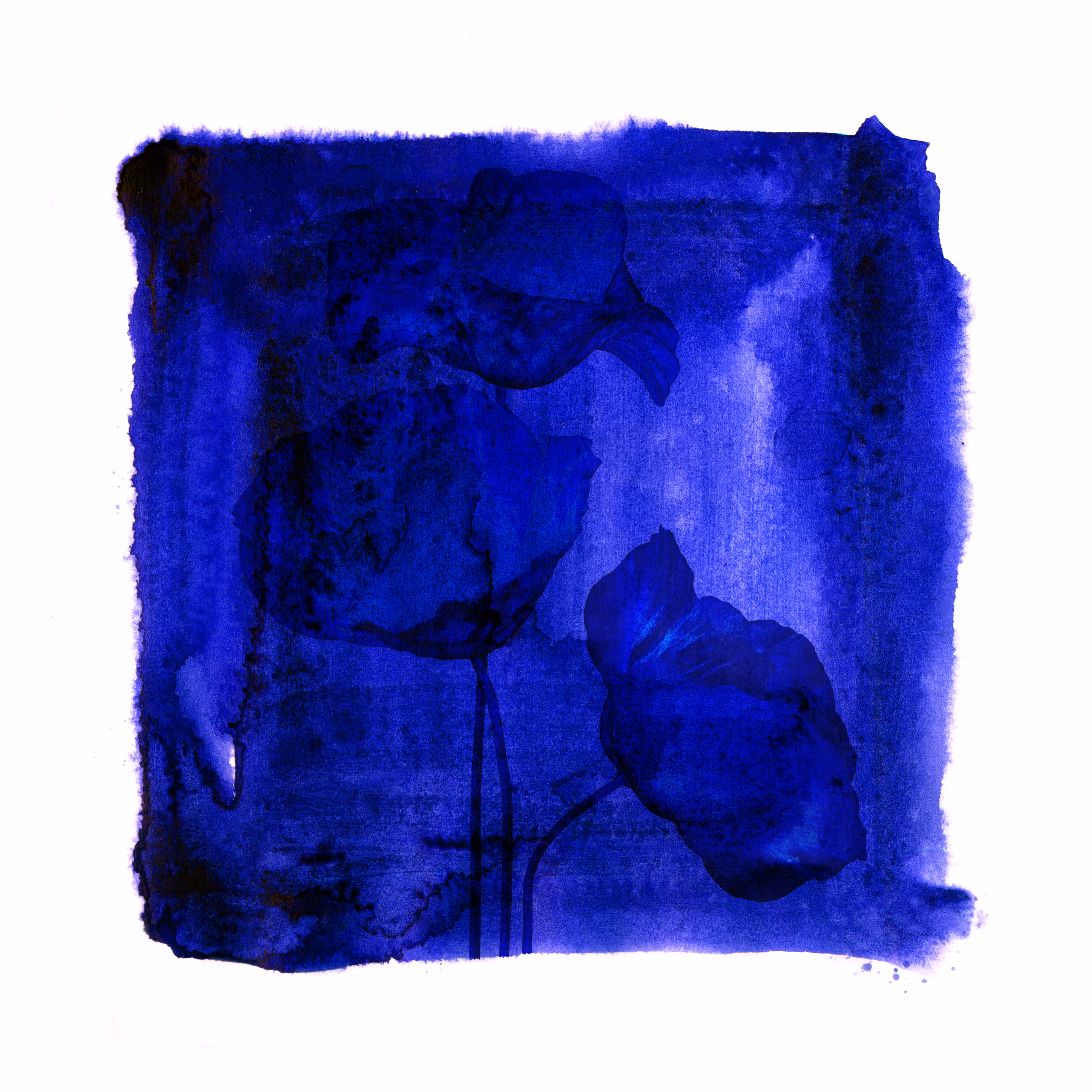 Blues garden #04