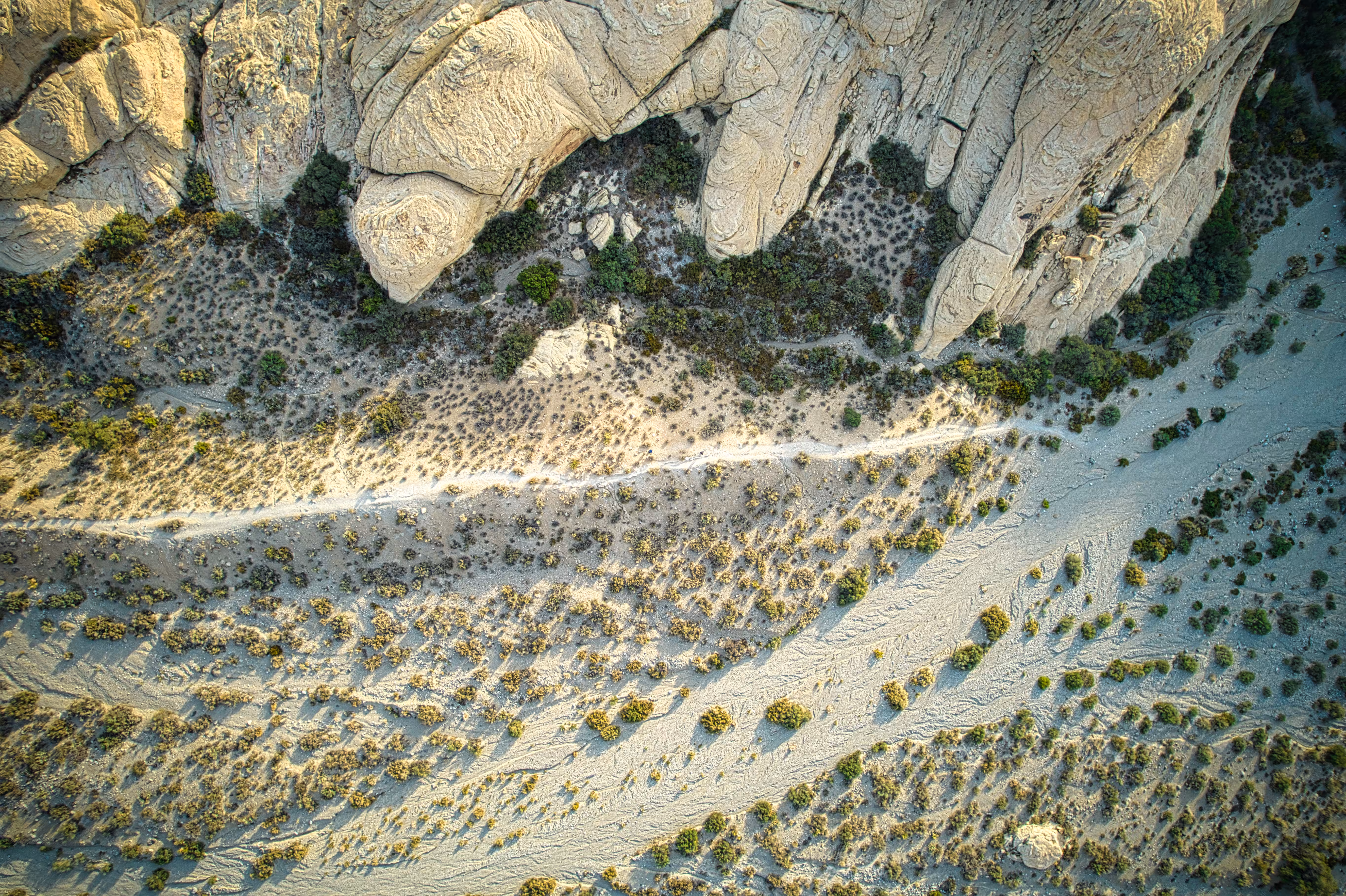 Trail to Turtlehead Peak