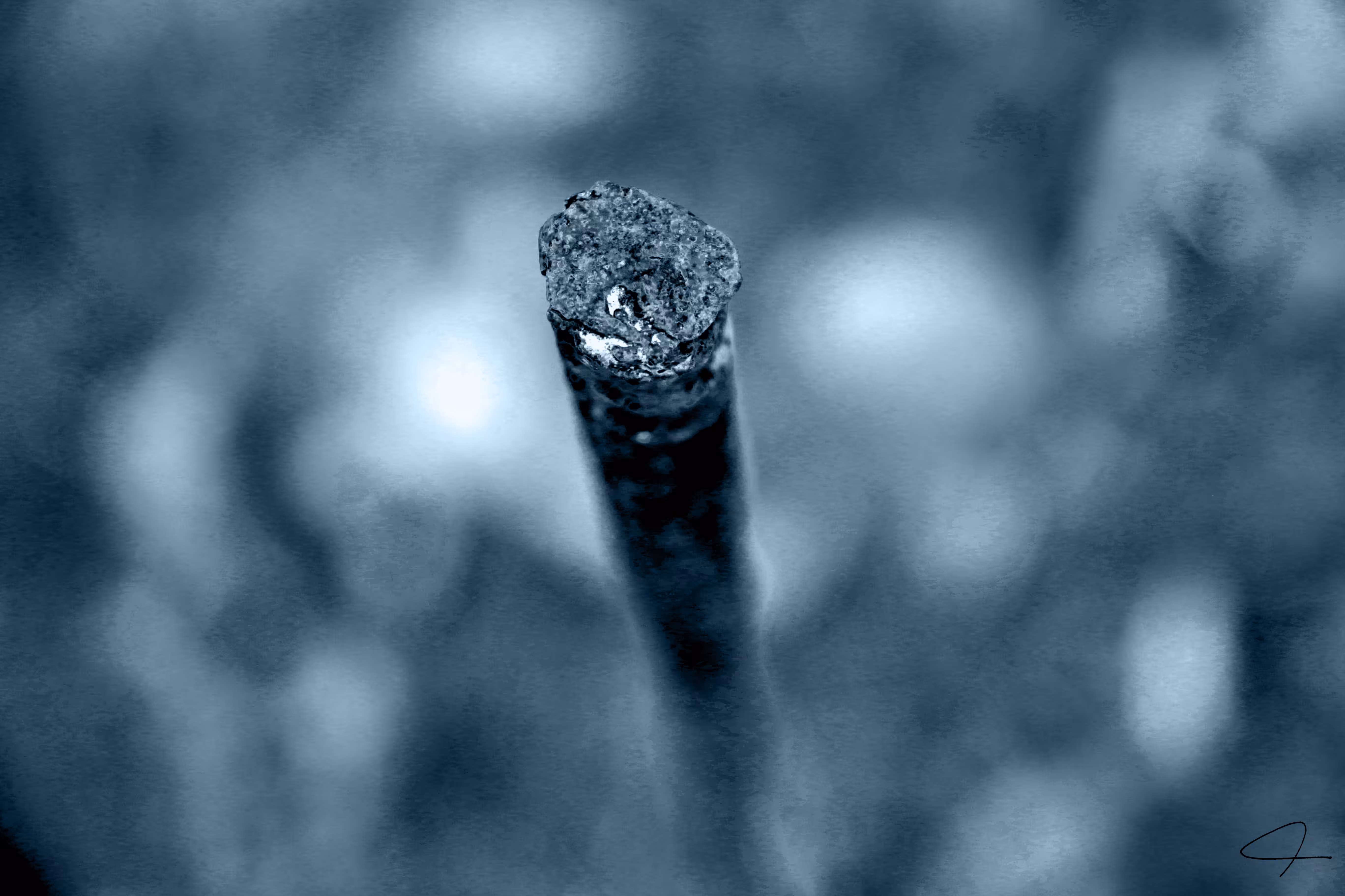 ceruicis vertebras 